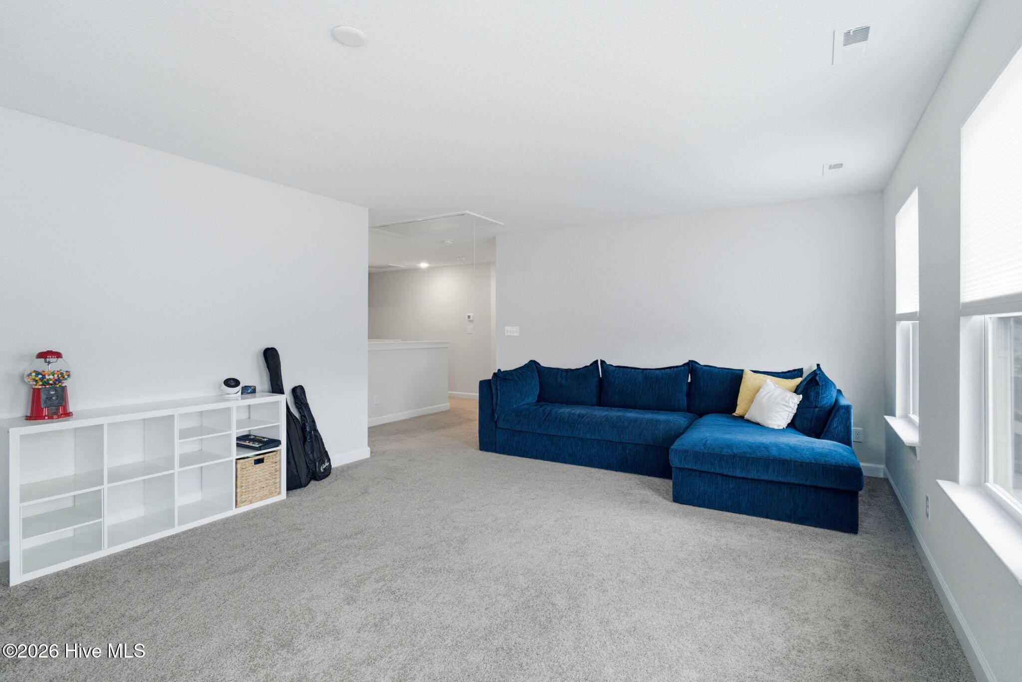 307 Arbormoor Lane Property Photo 40