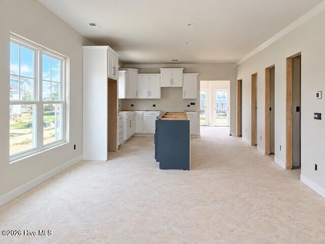 919 Everlong Lane Property Photo 4