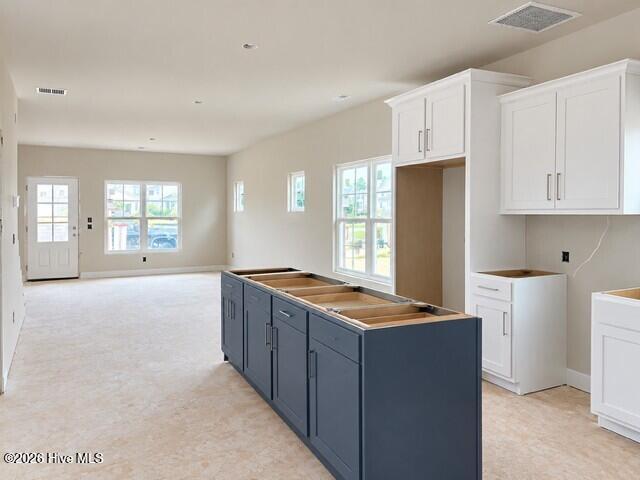 919 Everlong Lane Property Photo 5