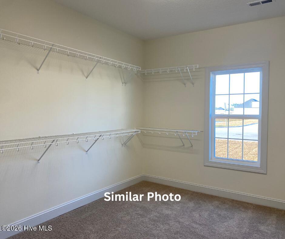 297 Water Wagon Trail Property Photo 18