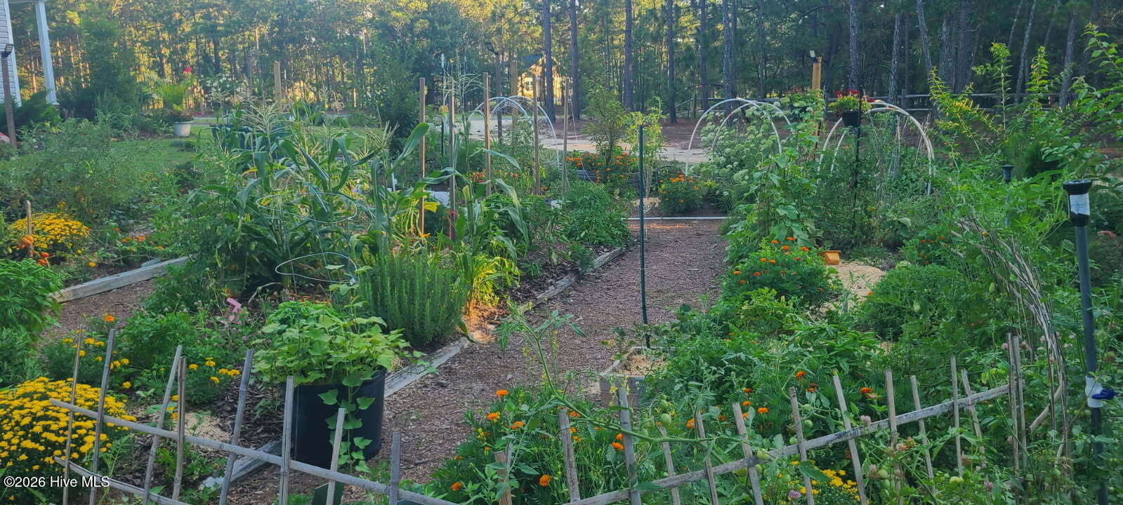 3 Bridle Place Property Photo 54