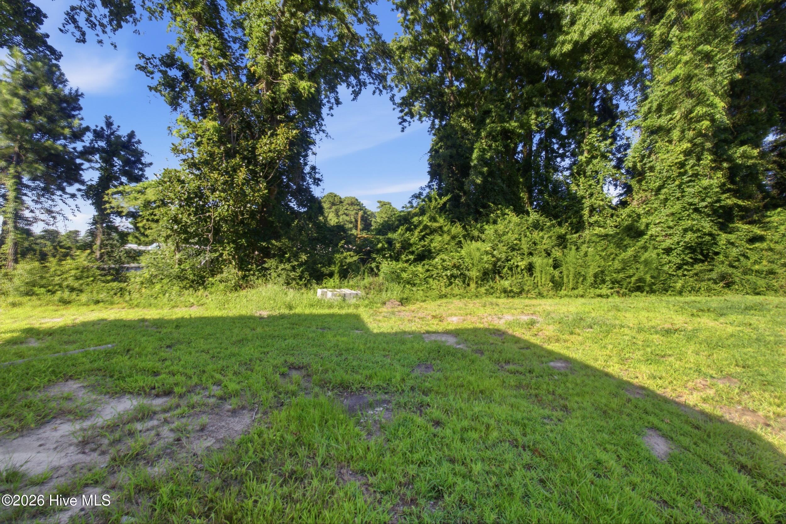 310 Camp Creek Drive Property Photo 28