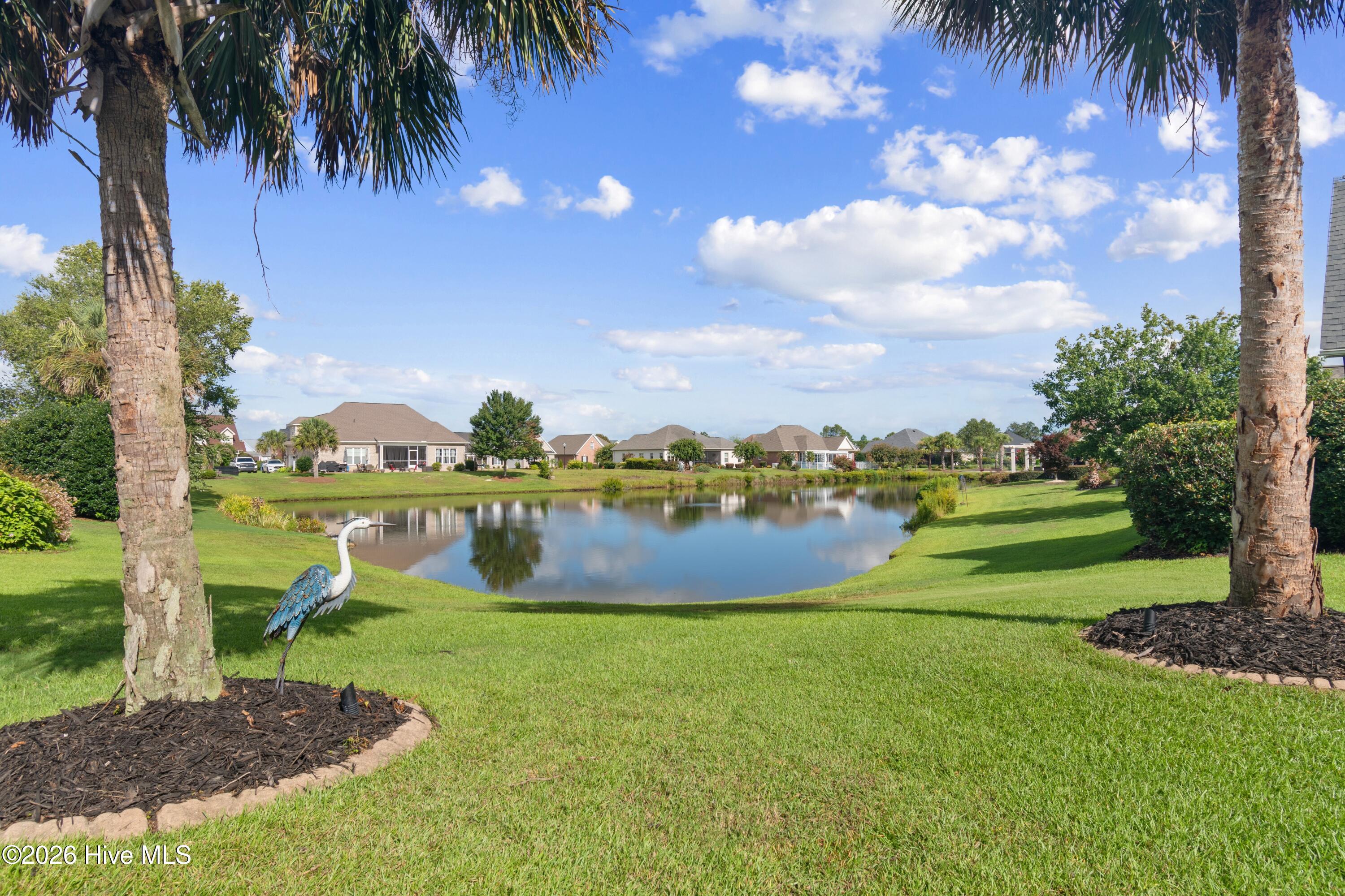 1041 Golden Sands Way Property Photo 36