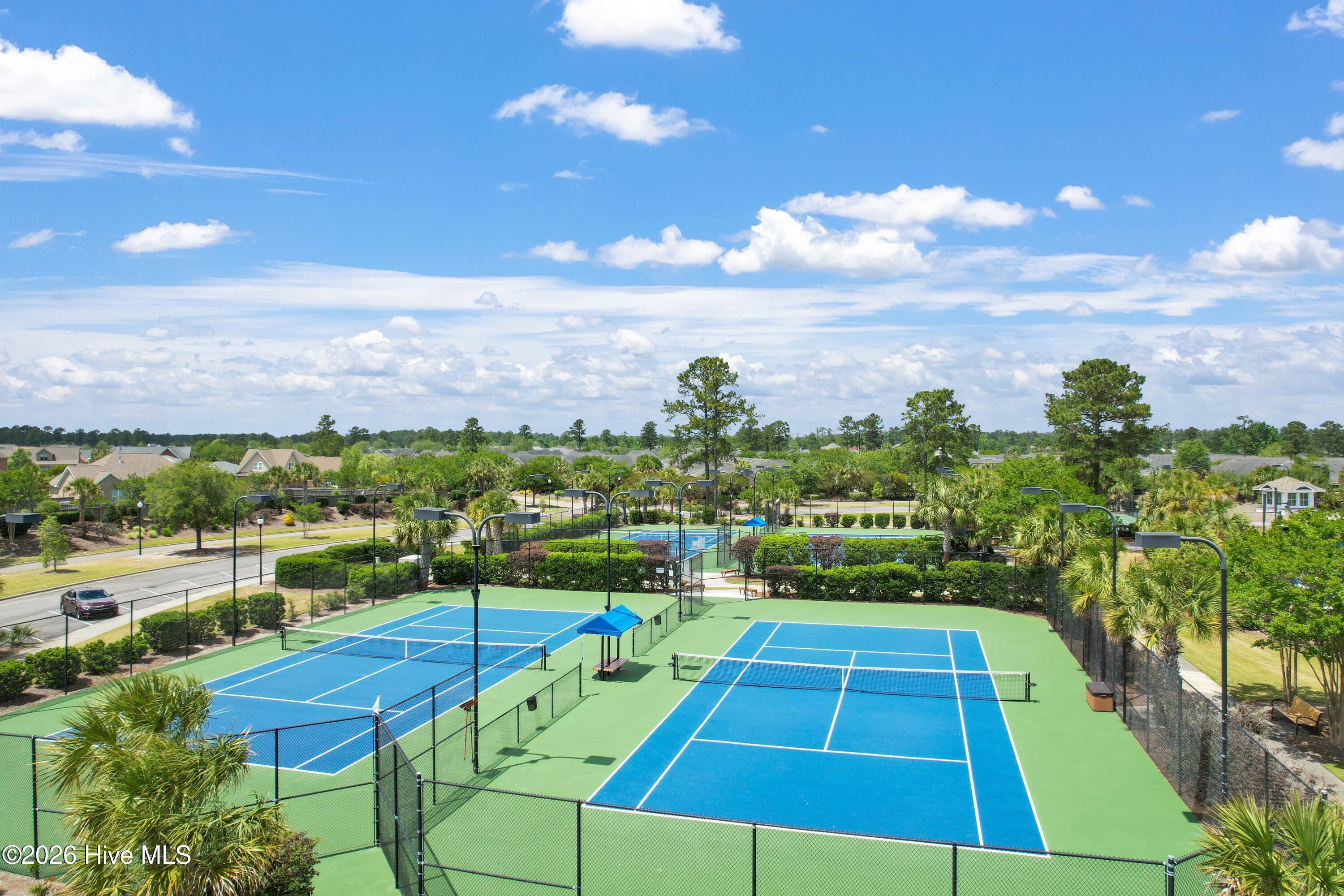 1041 Golden Sands Way Property Photo 83
