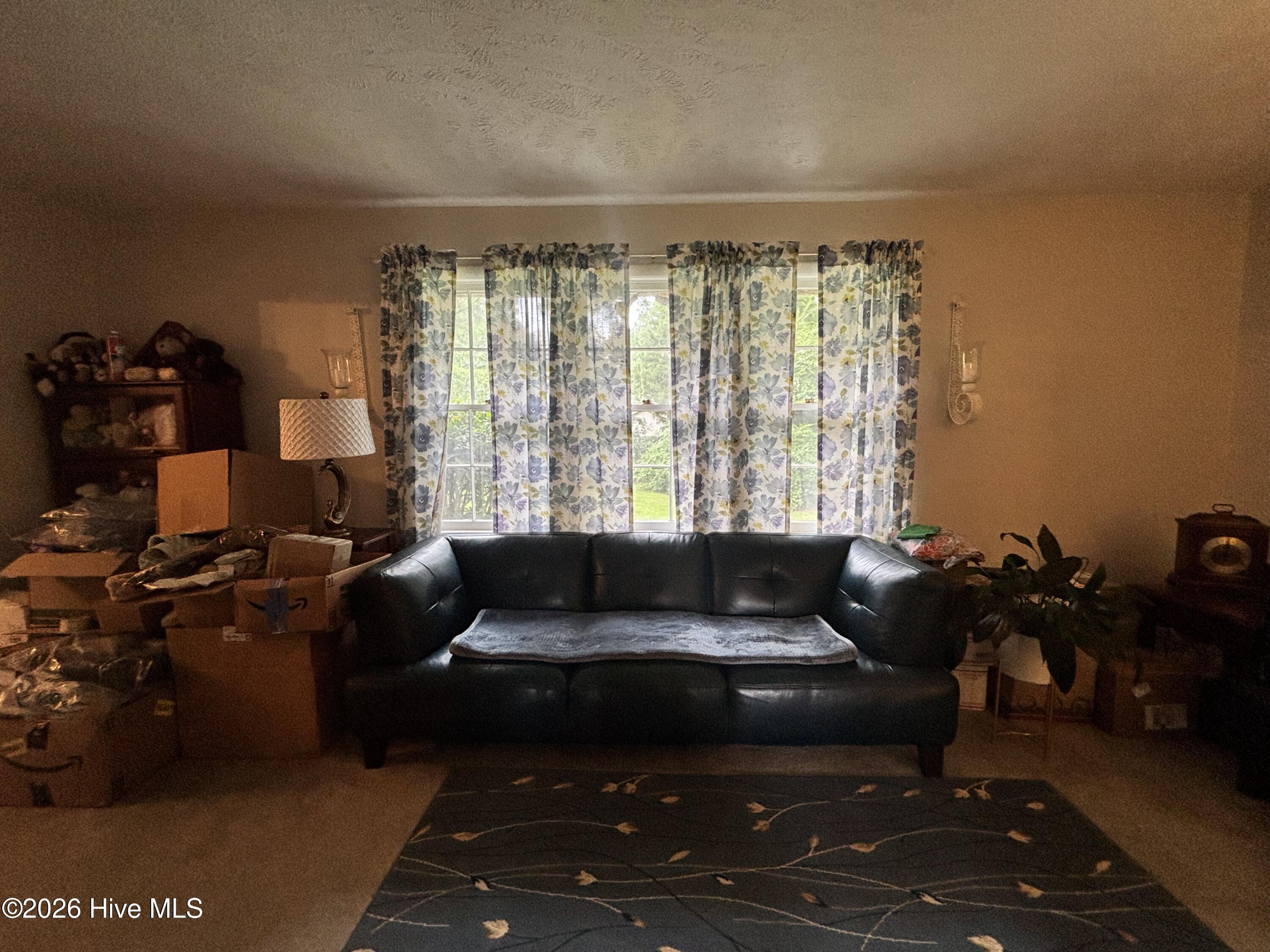 22581 Hoyl Circle Property Photo 10
