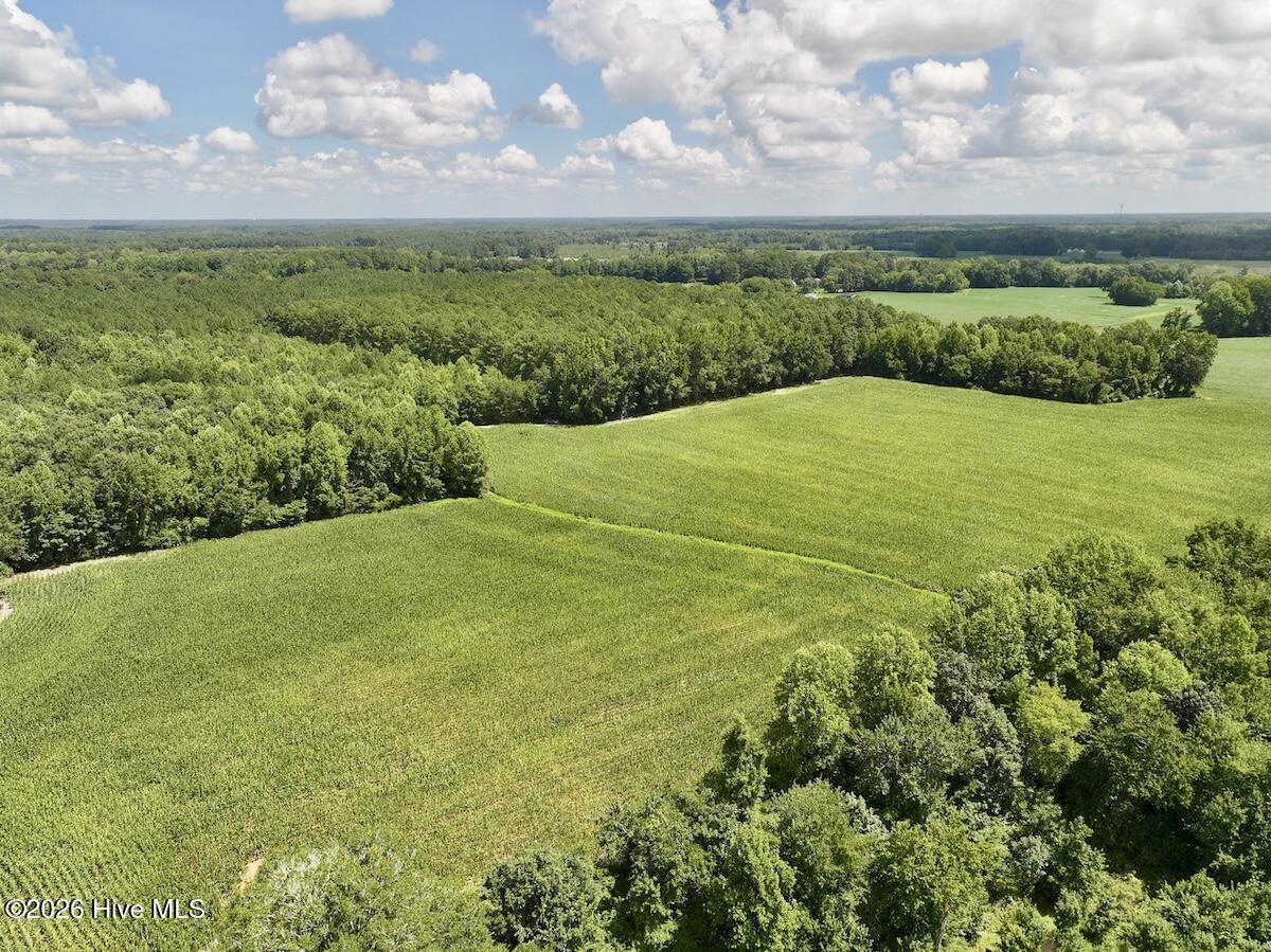 Lot 3 Mobley Road Property Photo 5