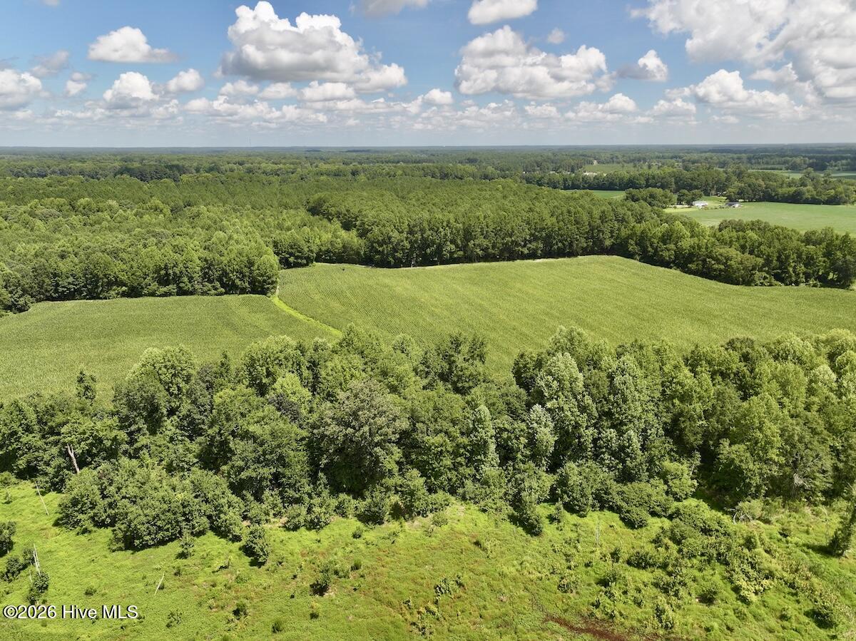 Lot 3 Mobley Road Property Photo 6