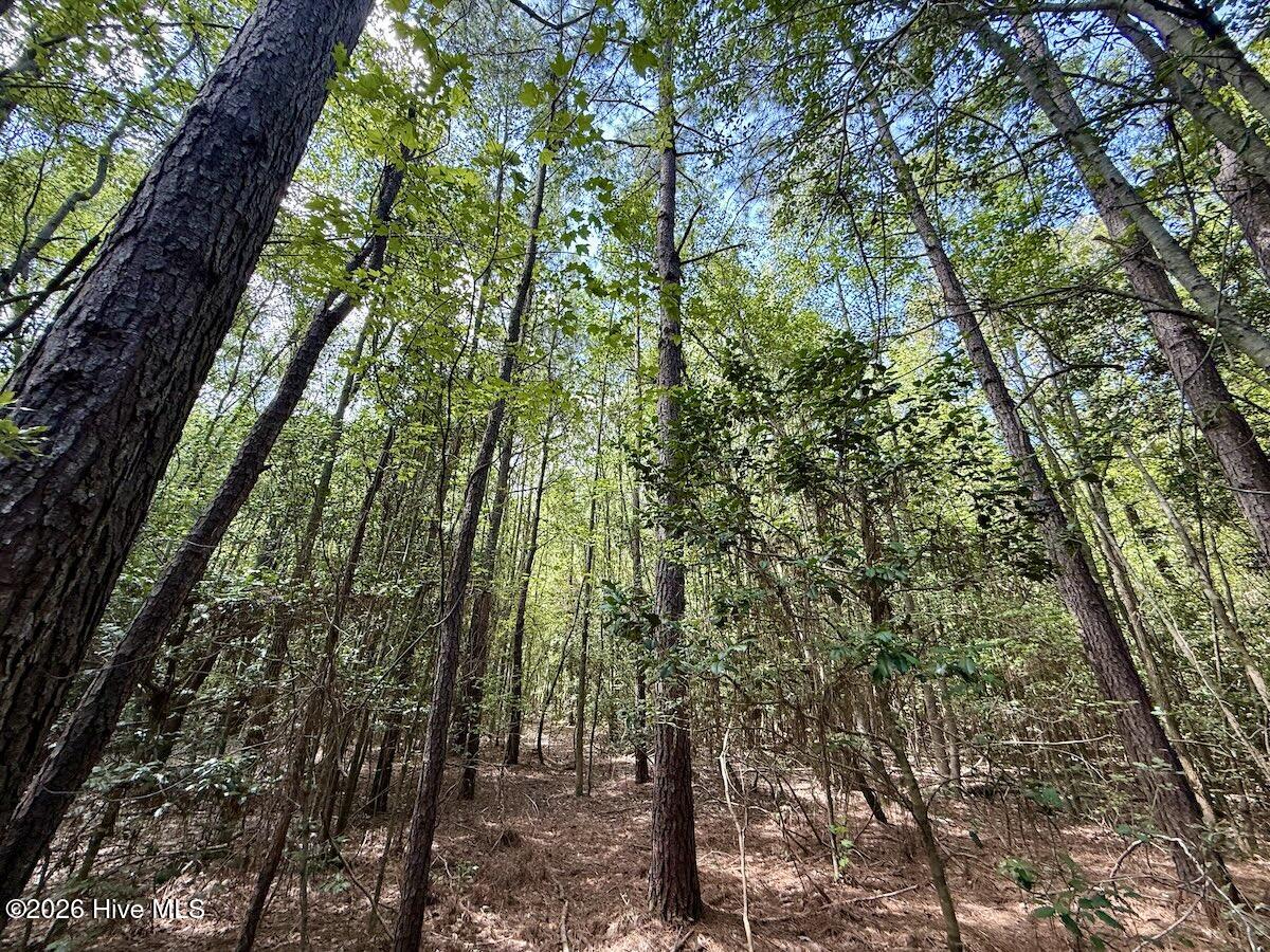 Lot 3 Mobley Road Property Photo 7