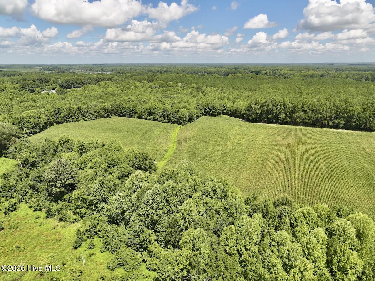 Lot 3 Mobley Road Property Photo 10