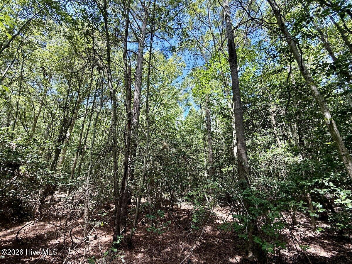 Lot 3 Mobley Road Property Photo 25