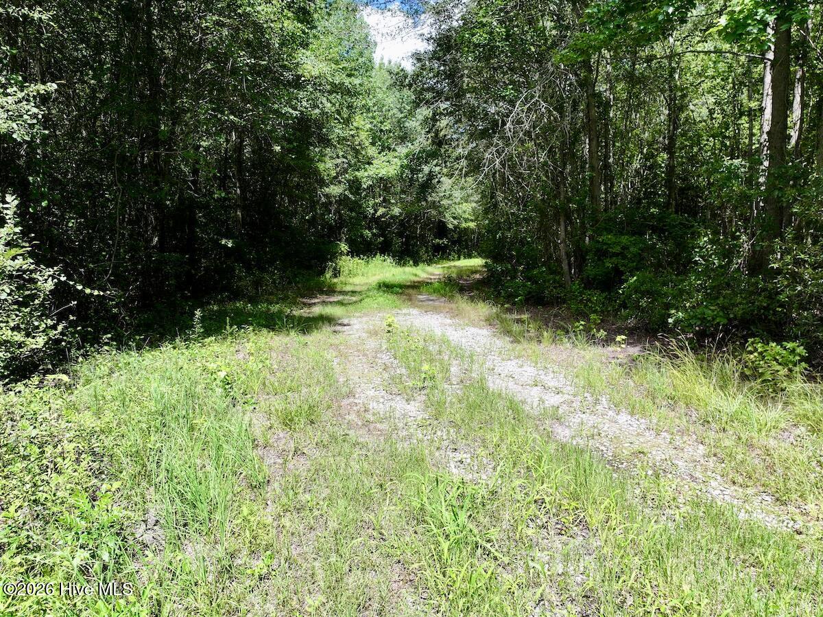 Lot 3 Mobley Road Property Photo 29