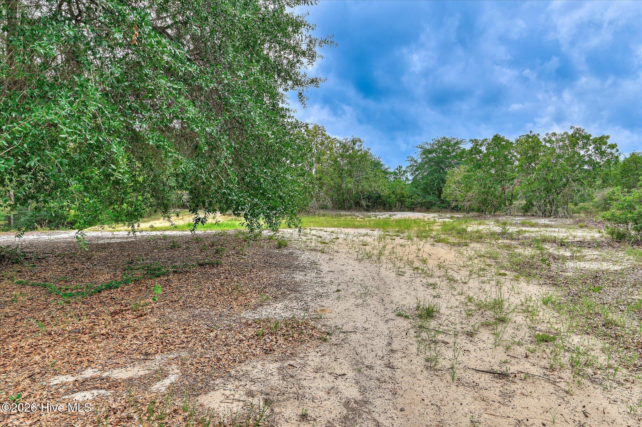 1241 Farmers Bridge Road Property Photo 26