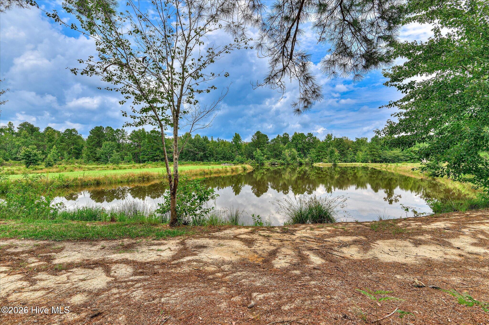 1241 Farmers Bridge Road Property Photo 30