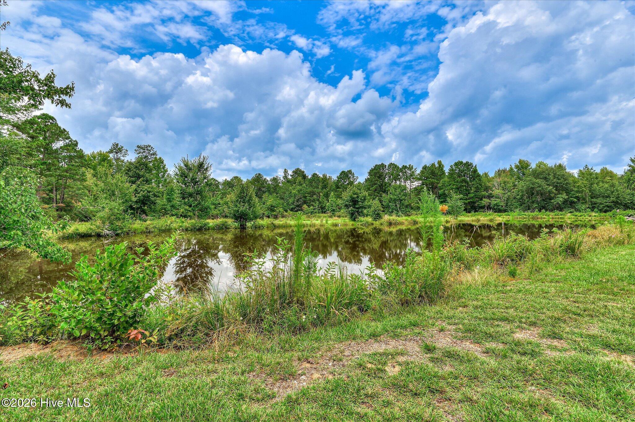 1241 Farmers Bridge Road Property Photo 31