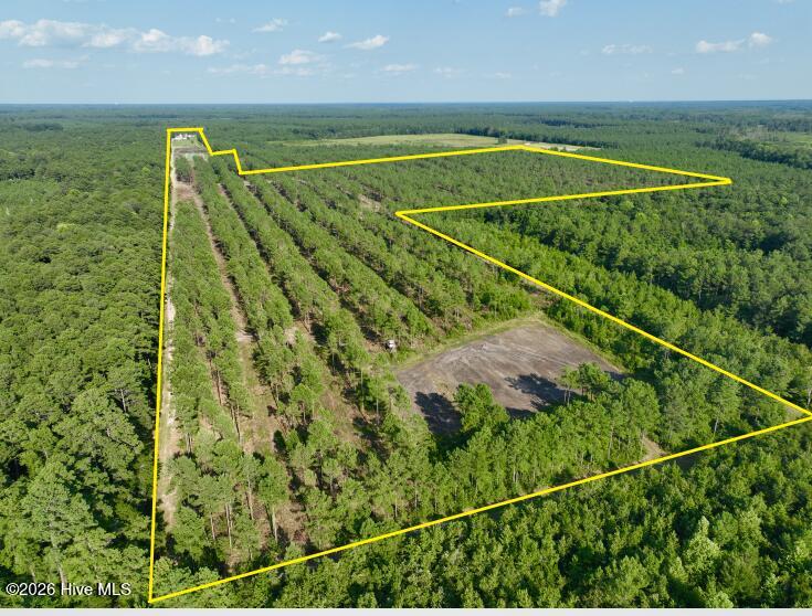 2310 Devils Racetrack Road Property Photo 2