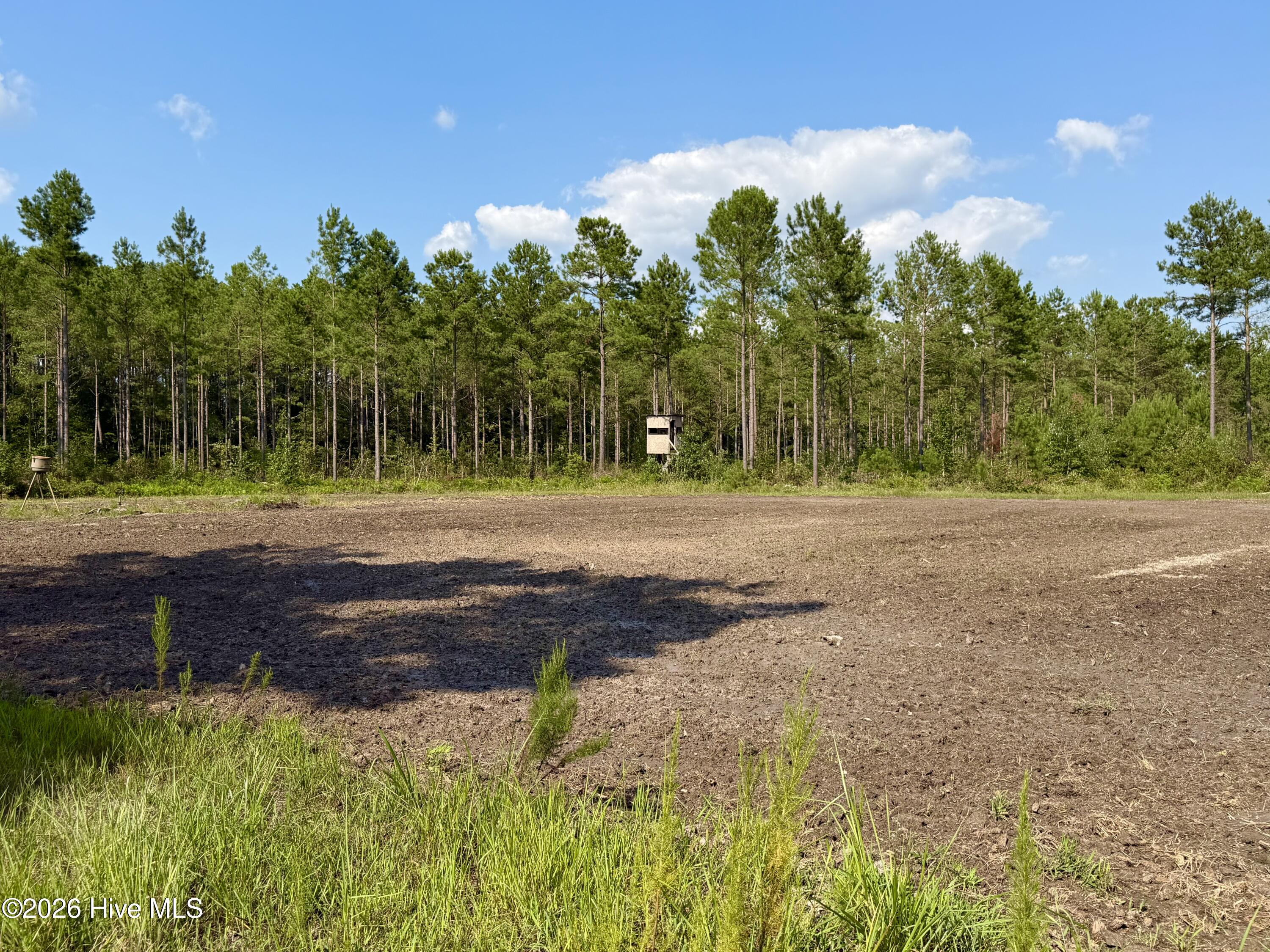 2310 Devils Racetrack Road Property Photo 3