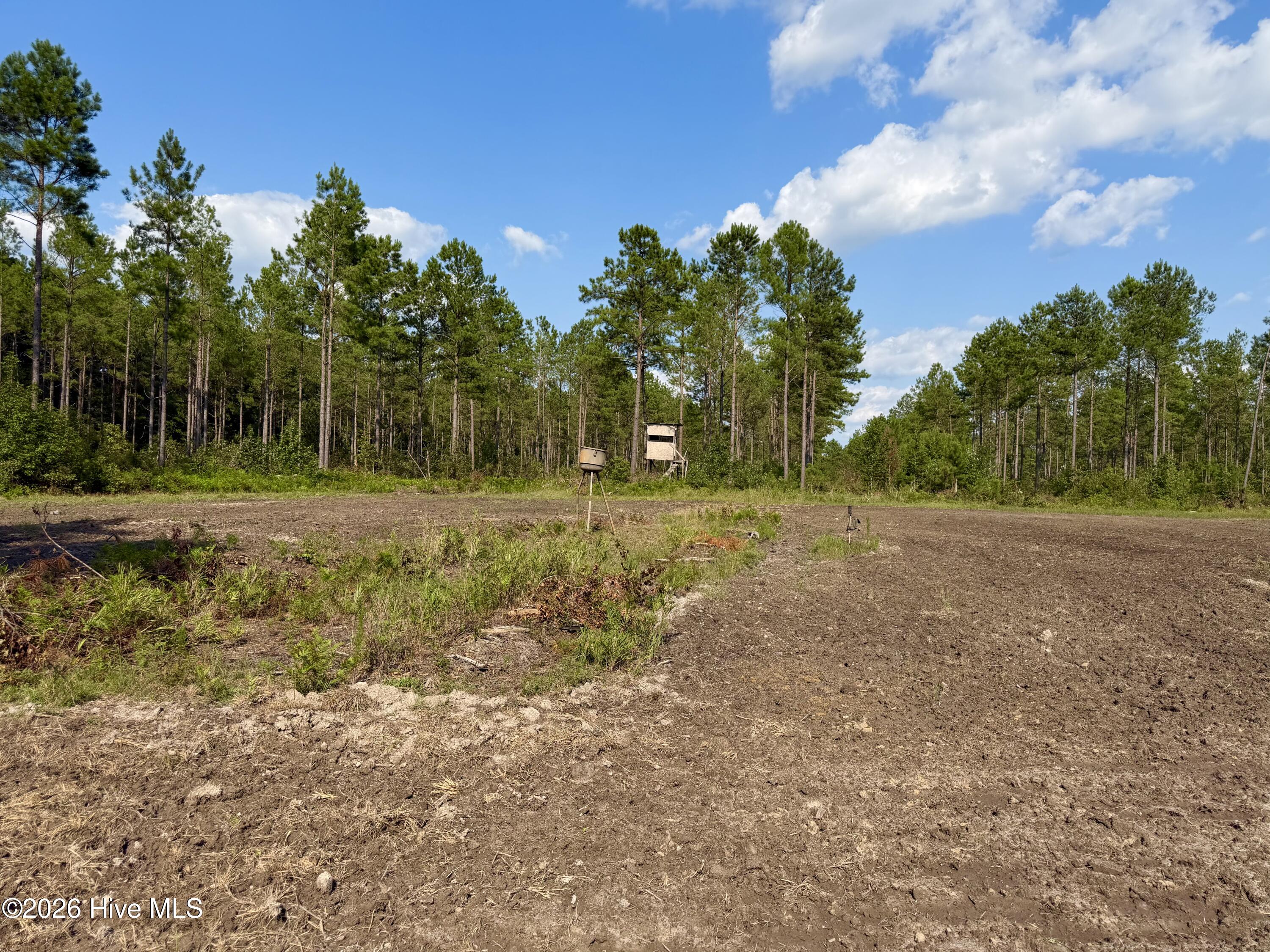 2310 Devils Racetrack Road Property Photo 4