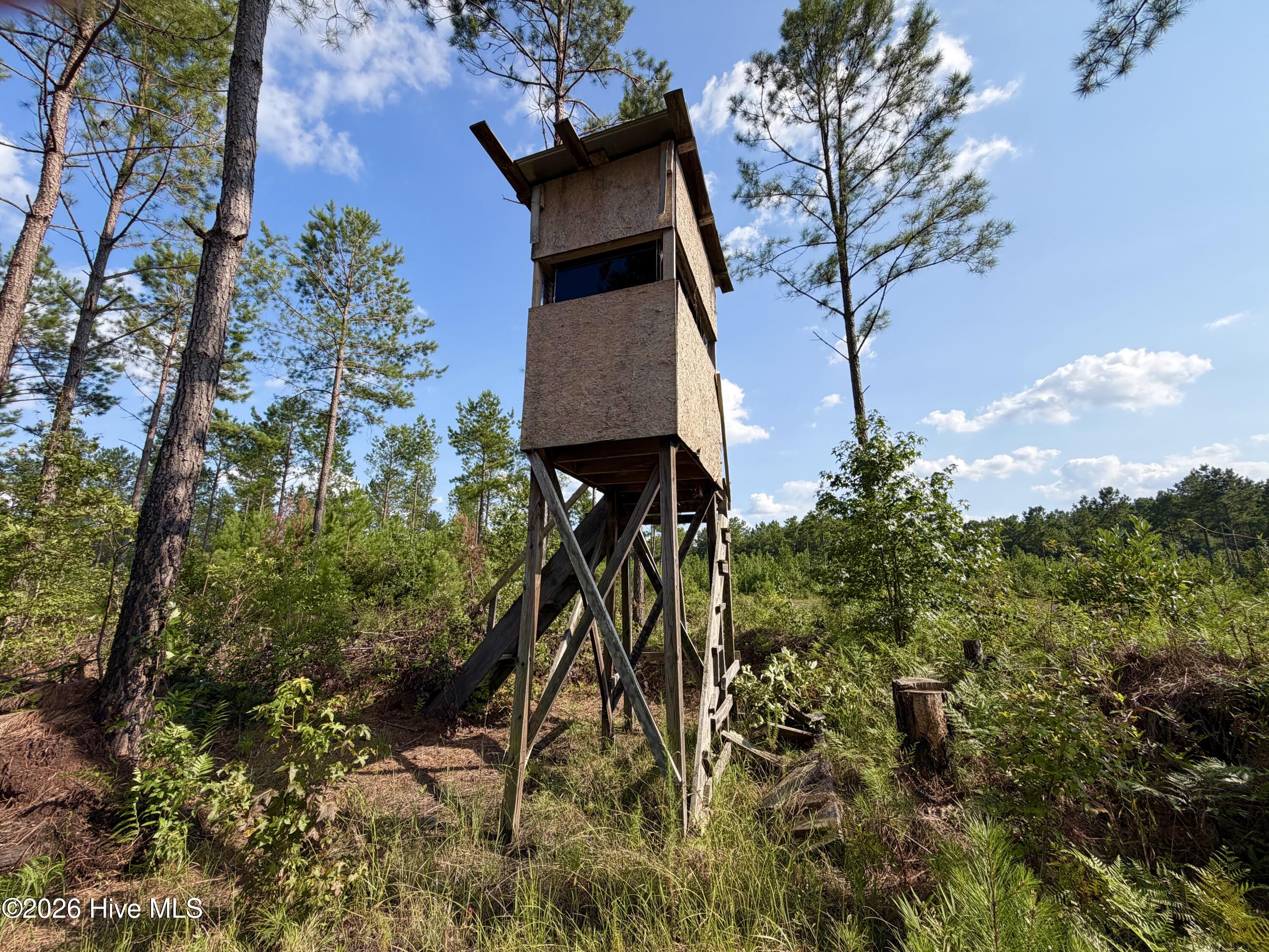 2310 Devils Racetrack Road Property Photo 6