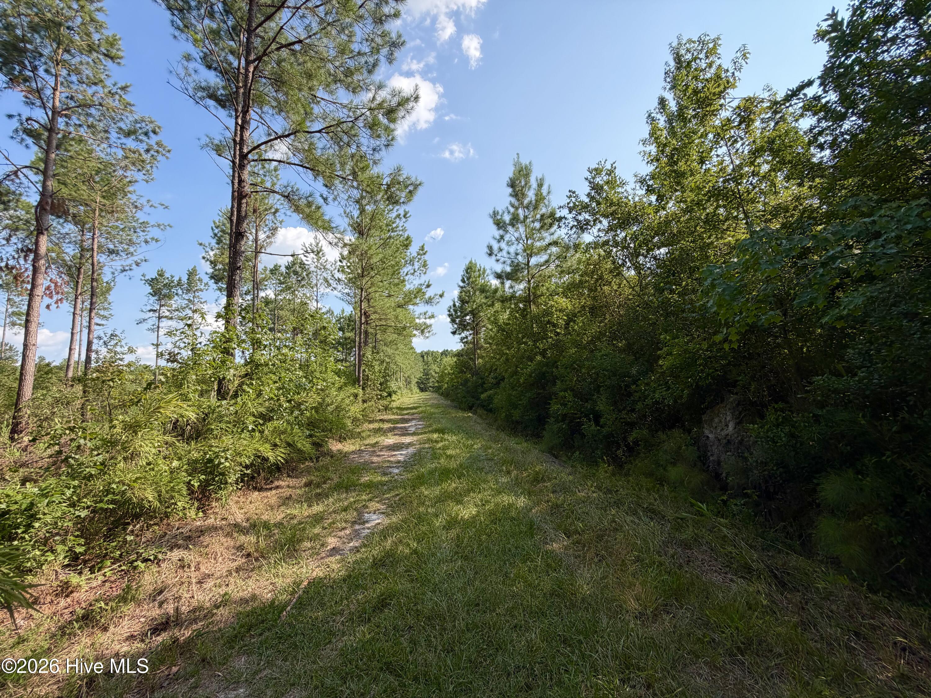 2310 Devils Racetrack Road Property Photo 7