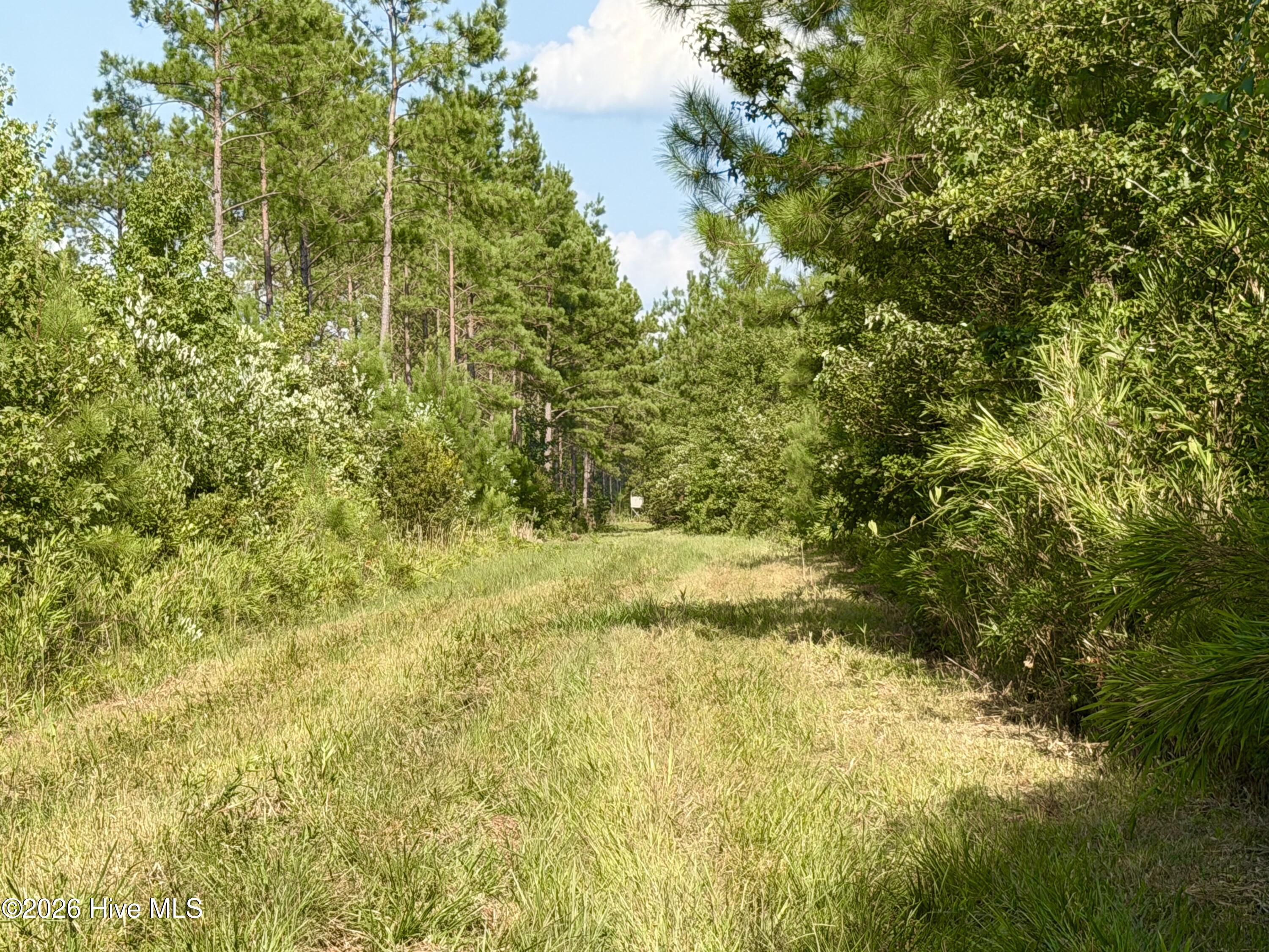 2310 Devils Racetrack Road Property Photo 8