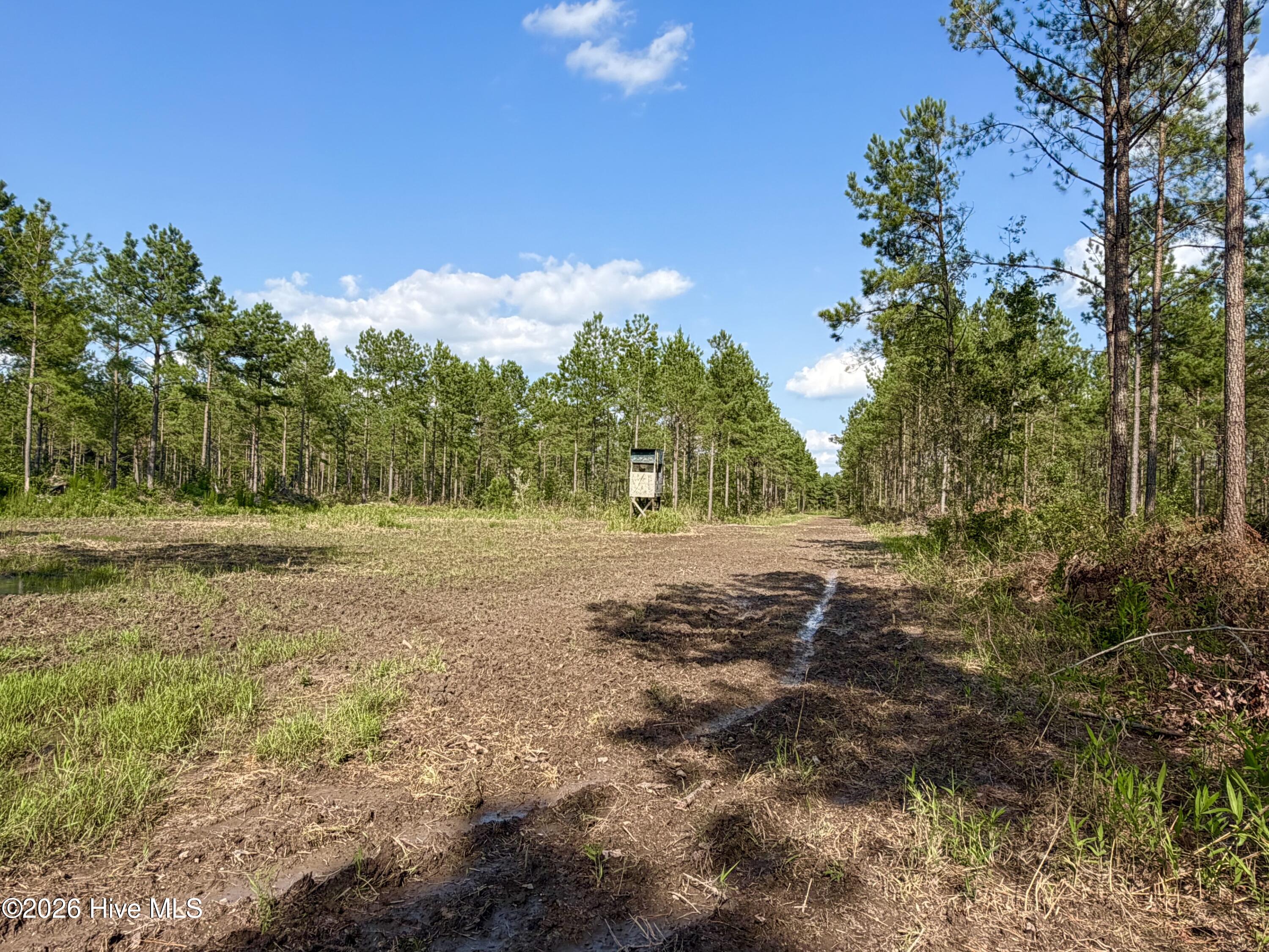 2310 Devils Racetrack Road Property Photo 9
