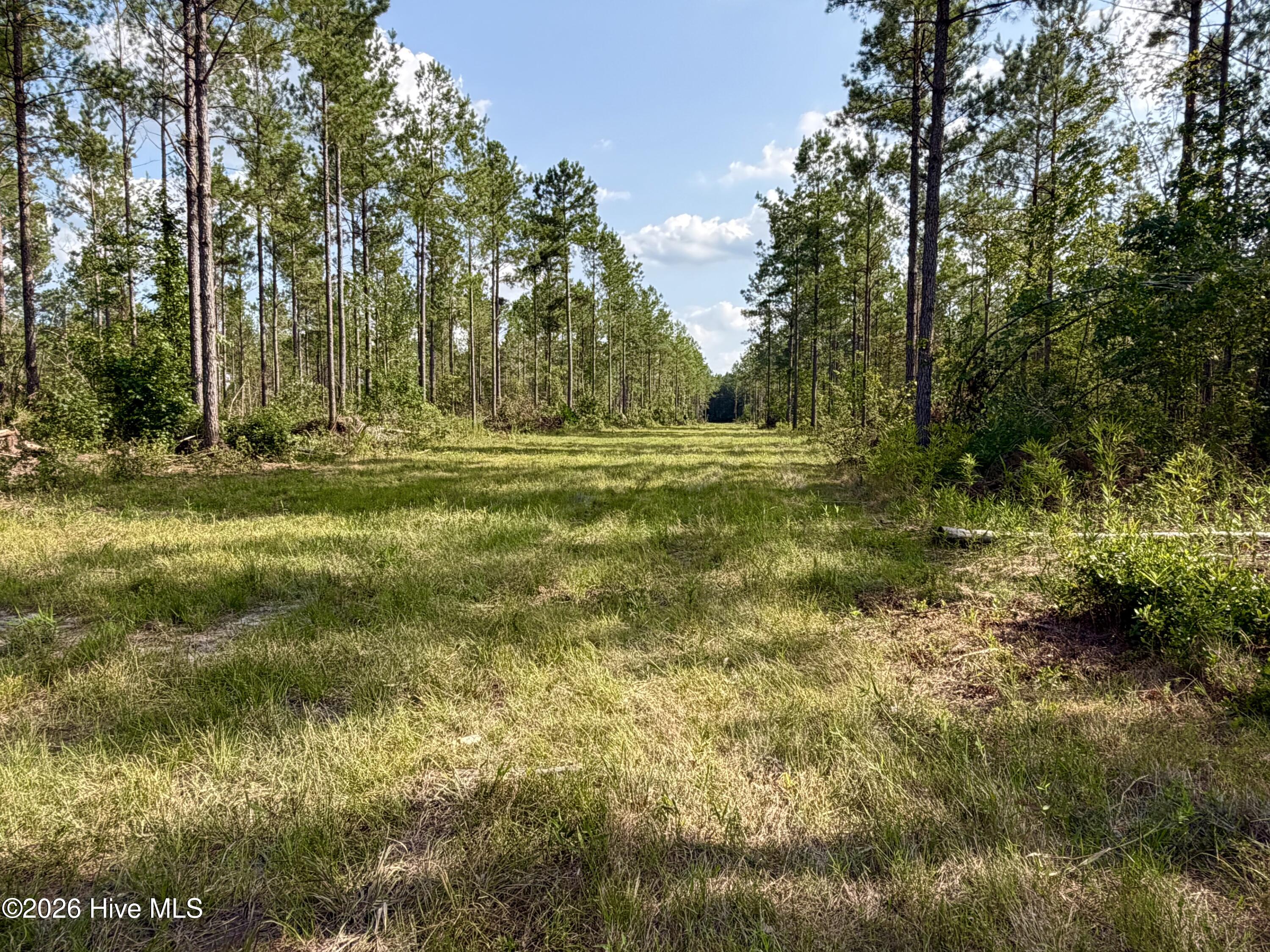 2310 Devils Racetrack Road Property Photo 10