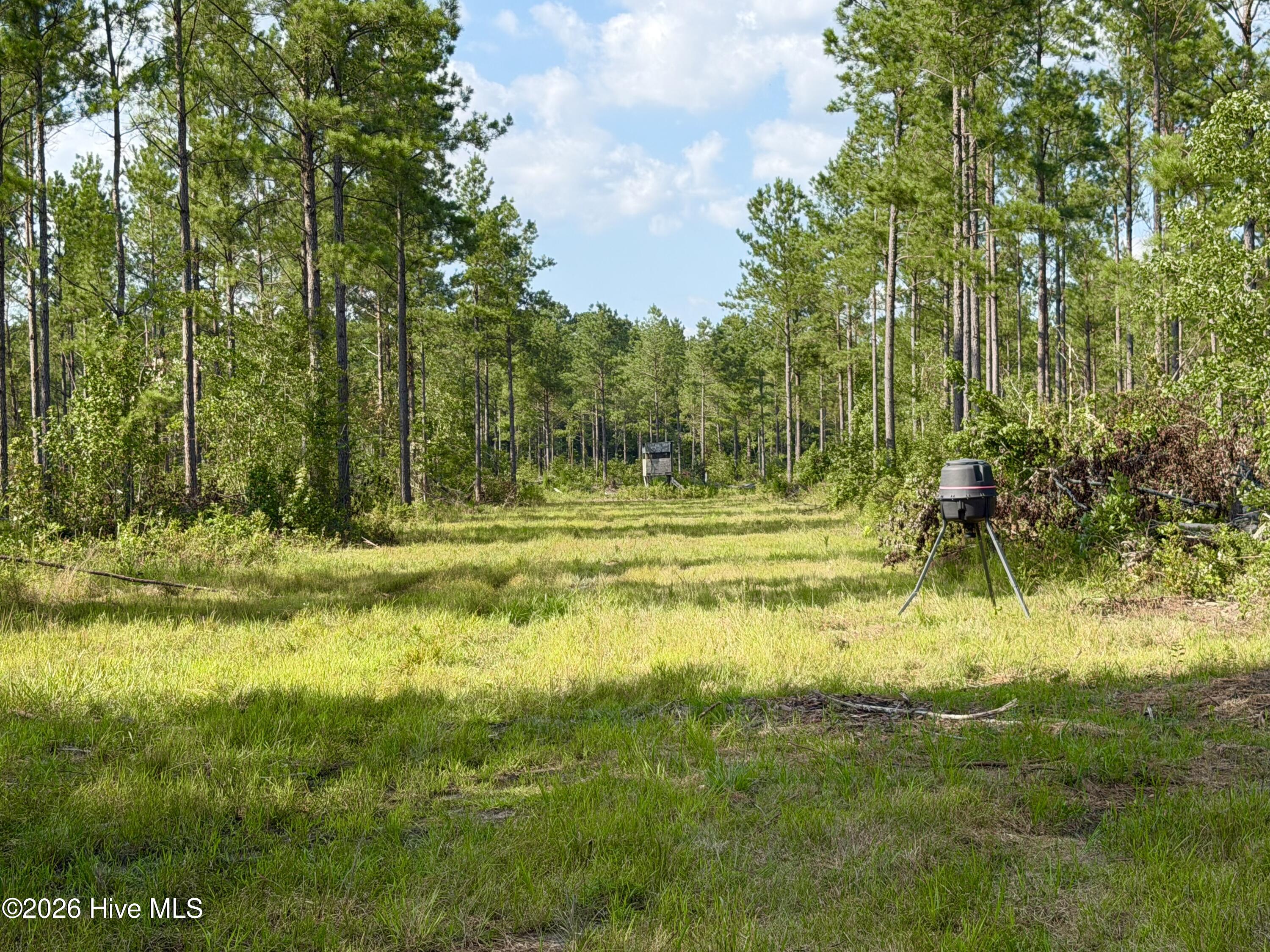 2310 Devils Racetrack Road Property Photo 11