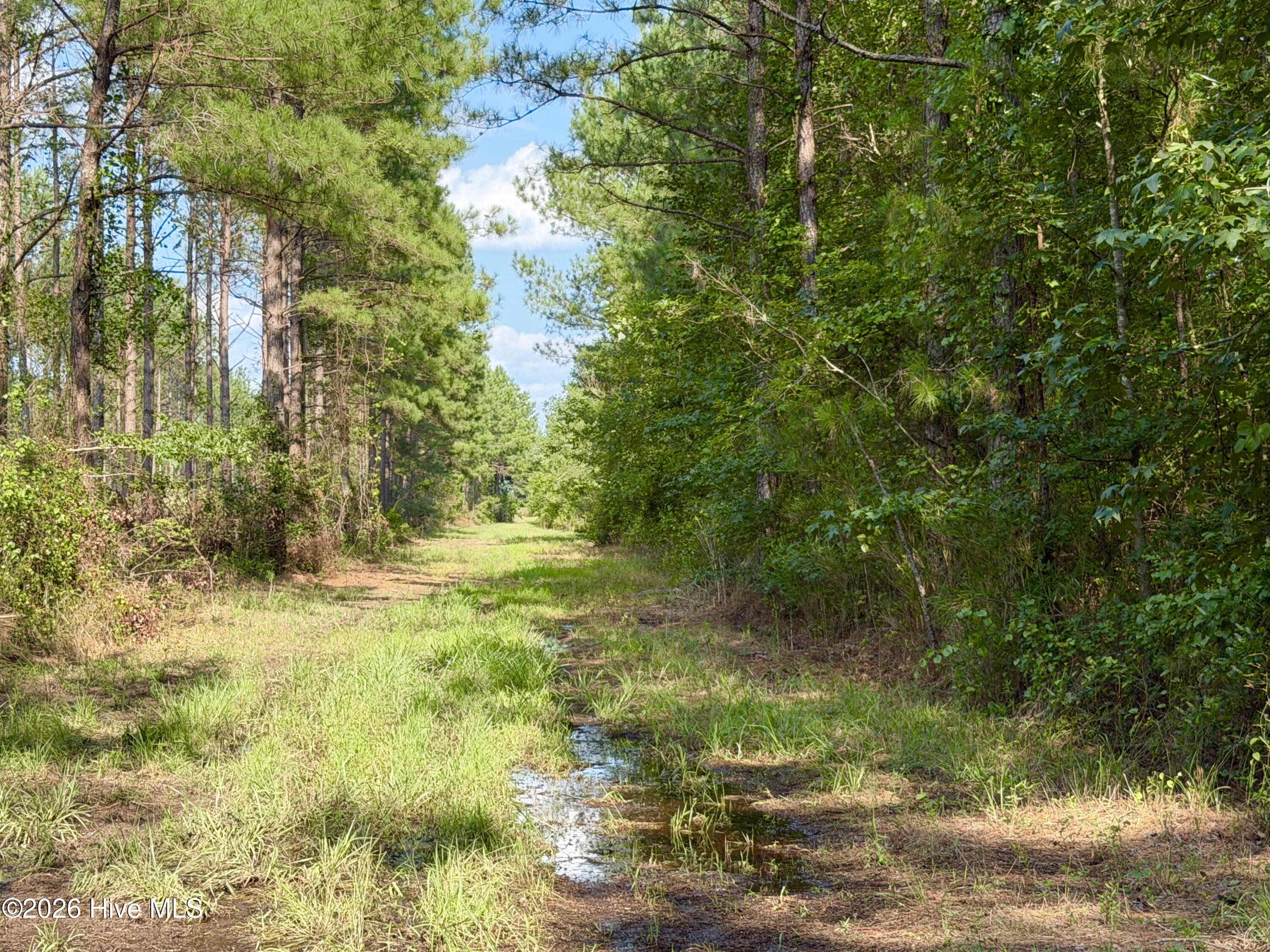 2310 Devils Racetrack Road Property Photo 12