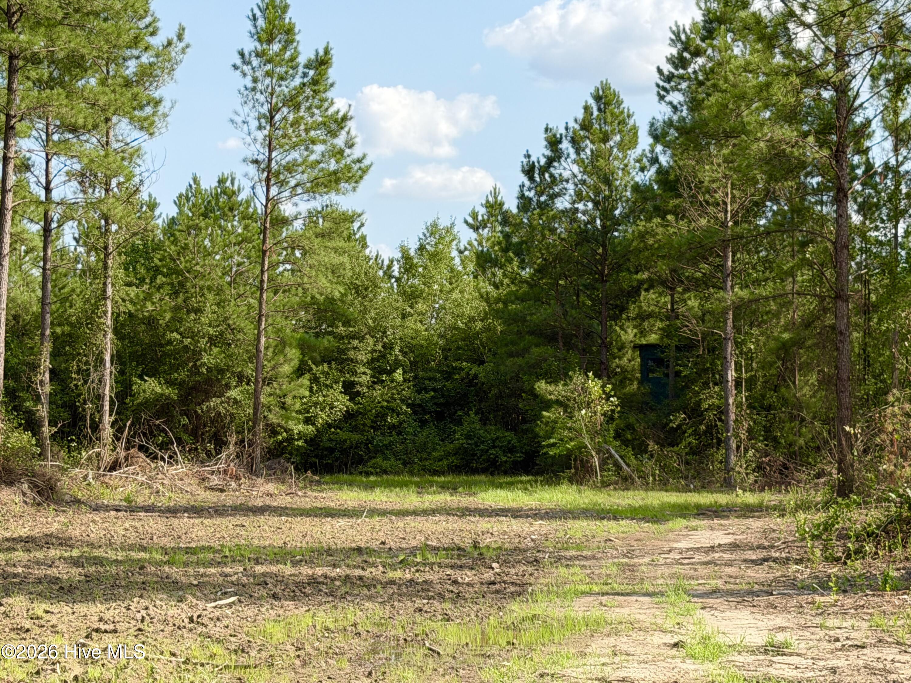 2310 Devils Racetrack Road Property Photo 13