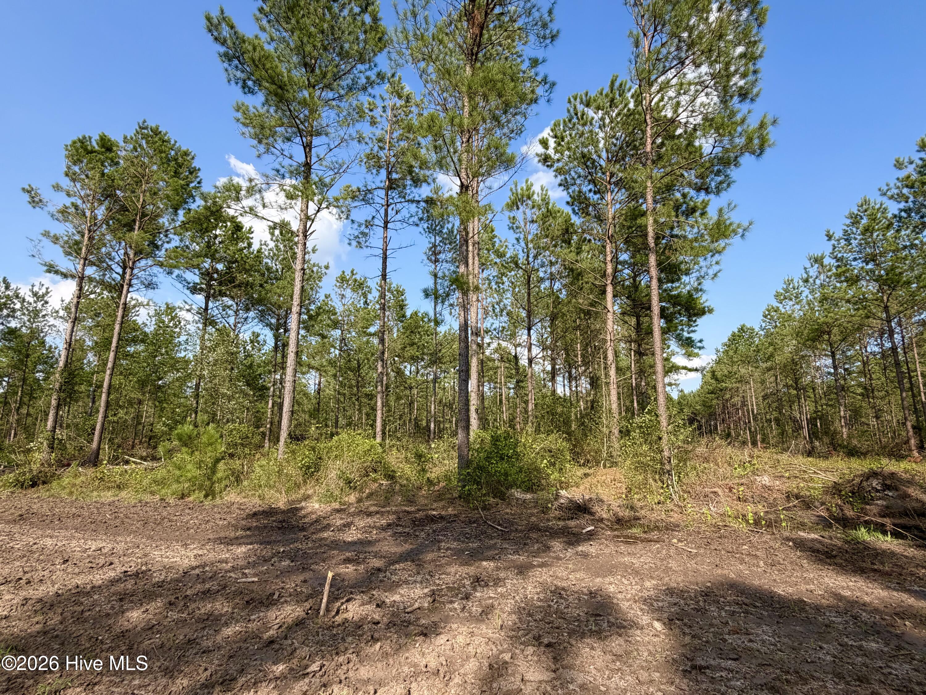2310 Devils Racetrack Road Property Photo 14