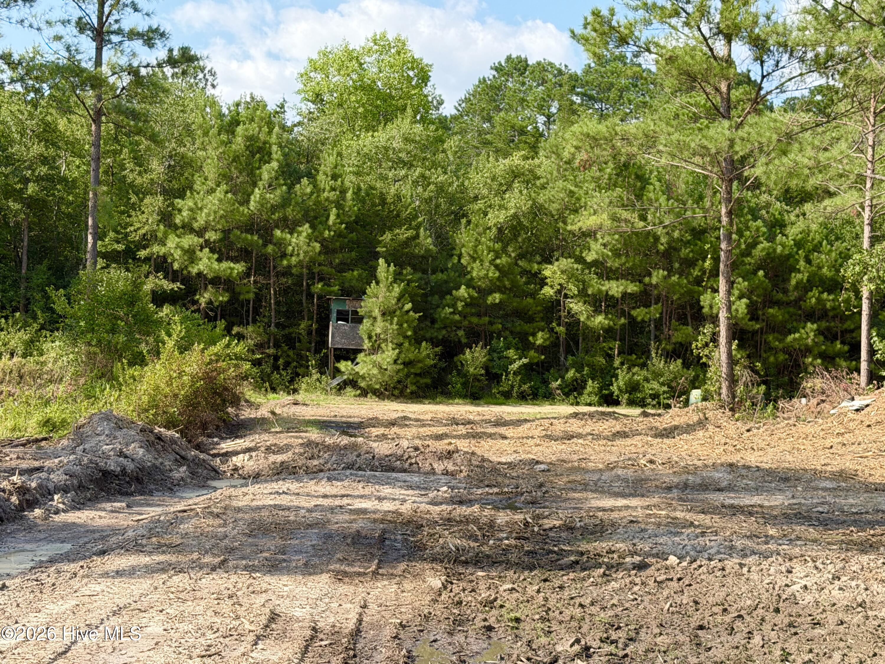 2310 Devils Racetrack Road Property Photo 16