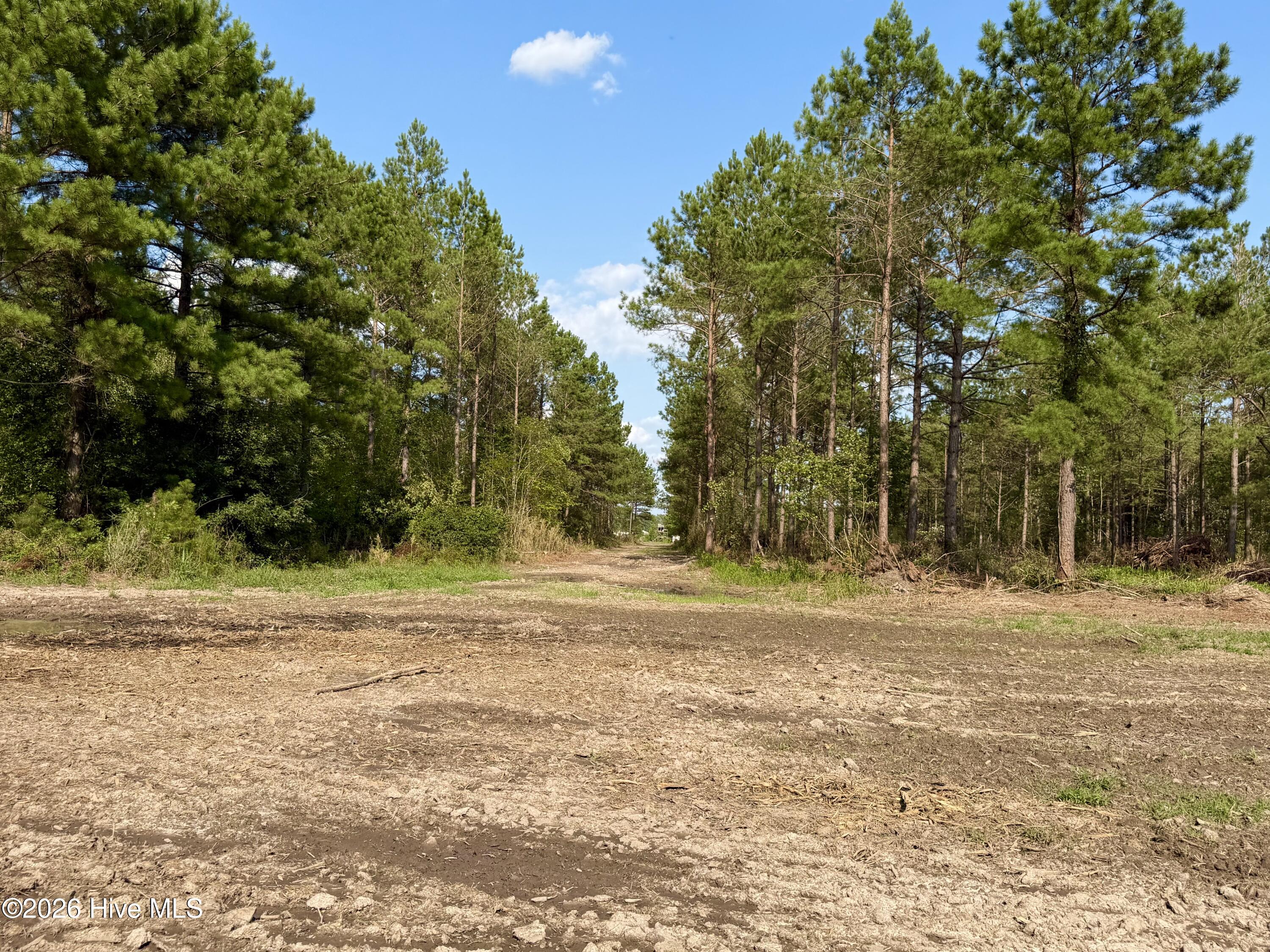 2310 Devils Racetrack Road Property Photo 17