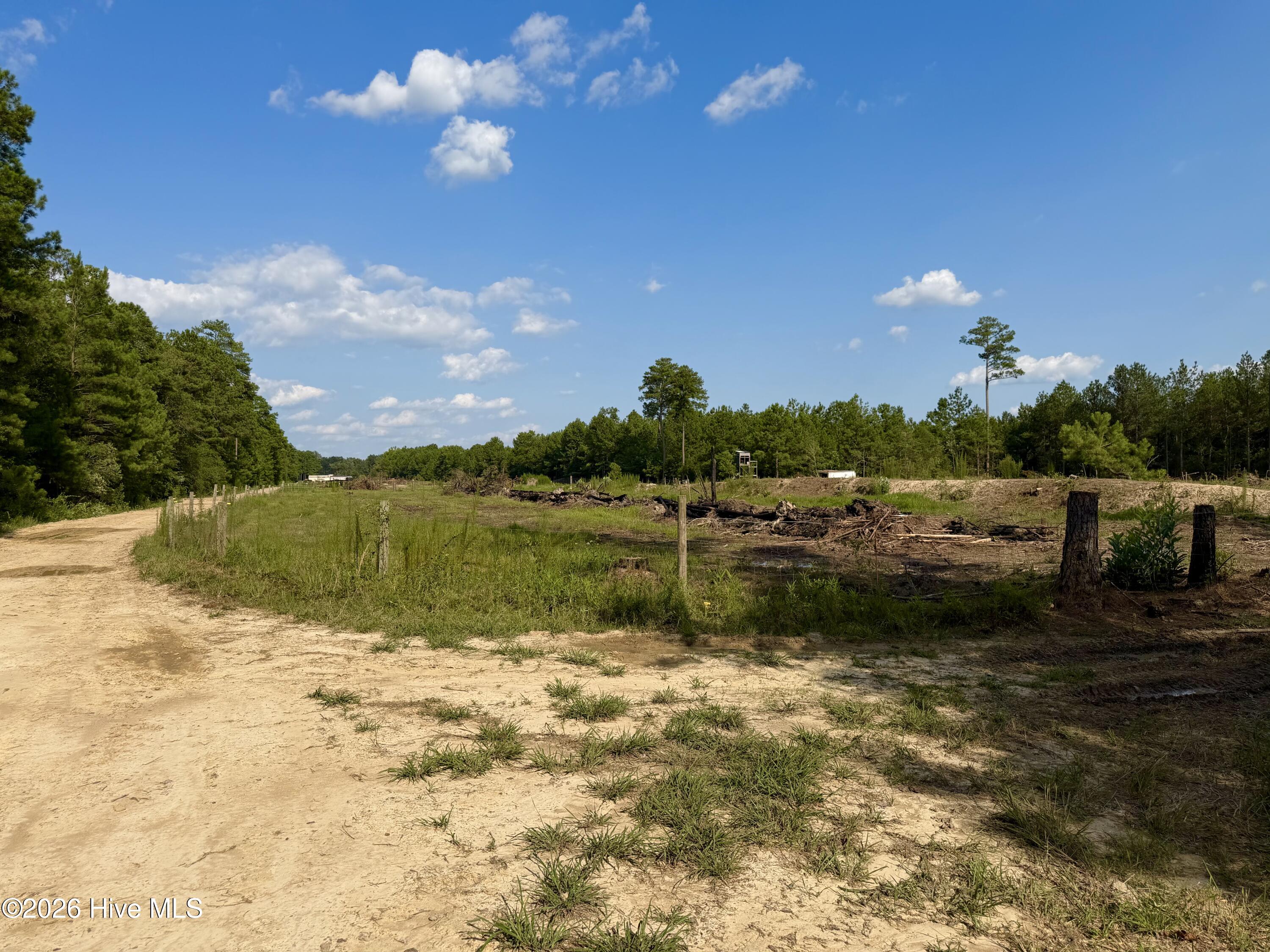 2310 Devils Racetrack Road Property Photo 18