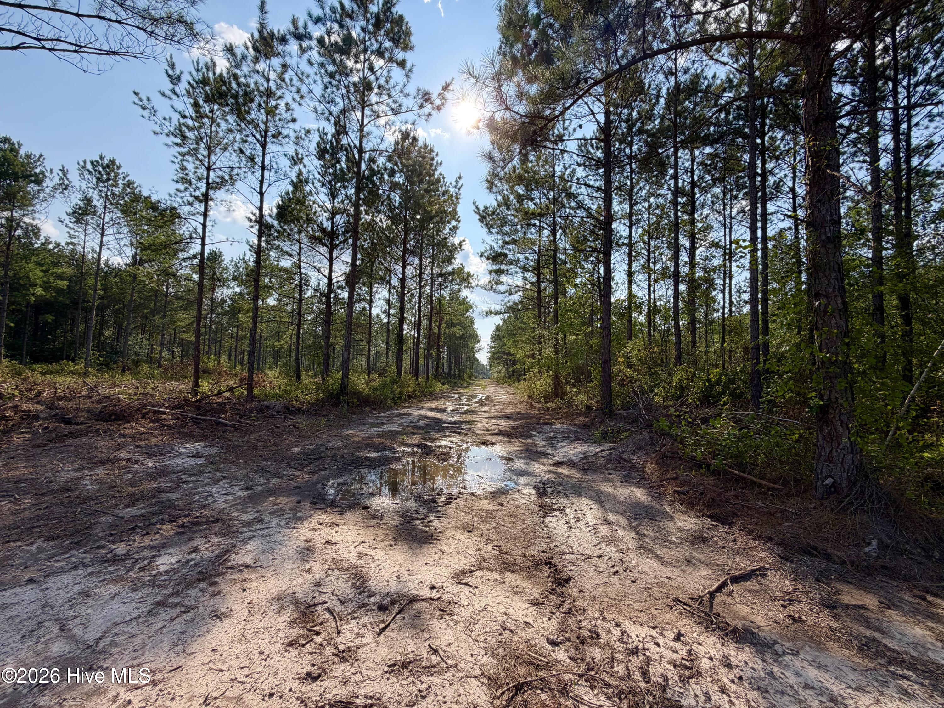 2310 Devils Racetrack Road Property Photo 20