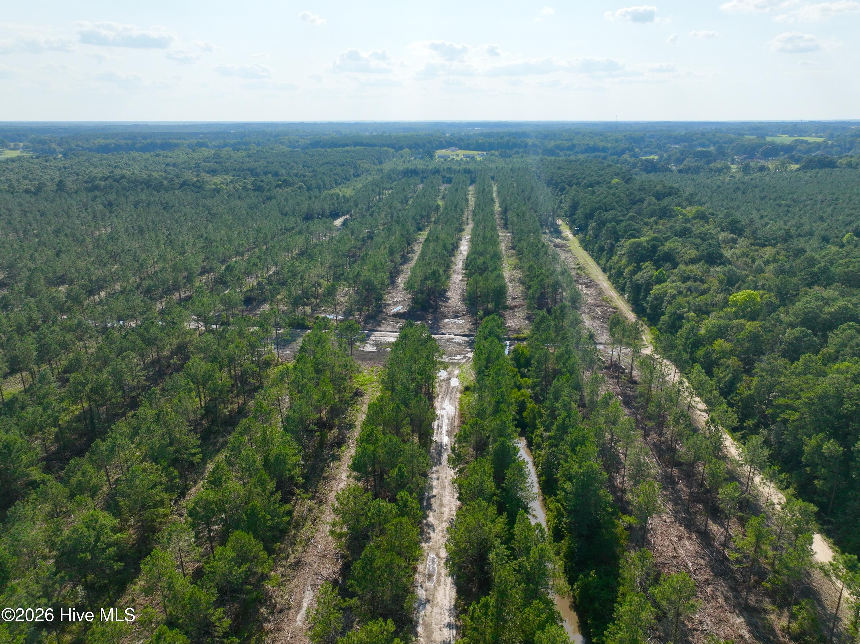 2310 Devils Racetrack Road Property Photo 40