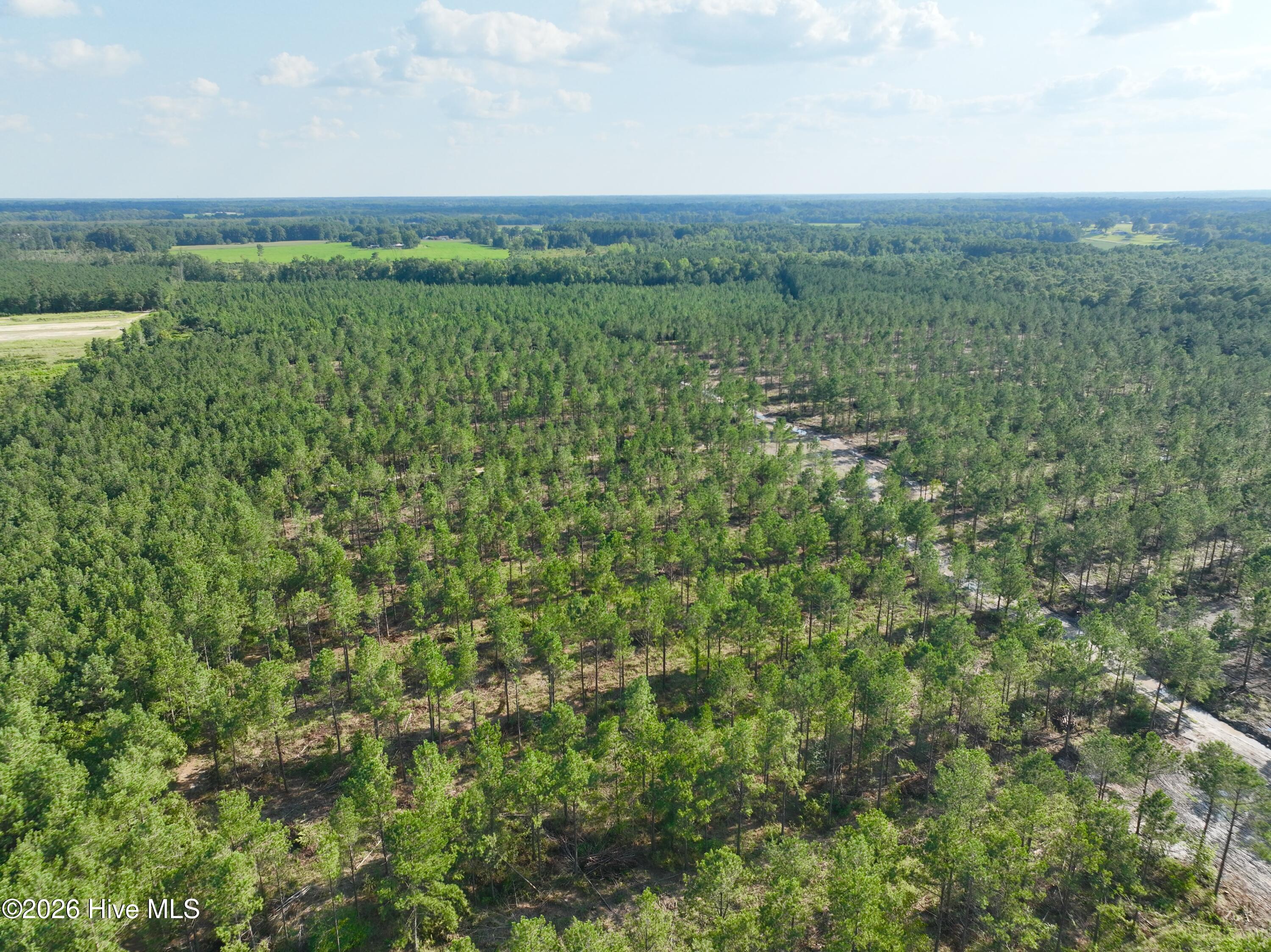 2310 Devils Racetrack Road Property Photo 41