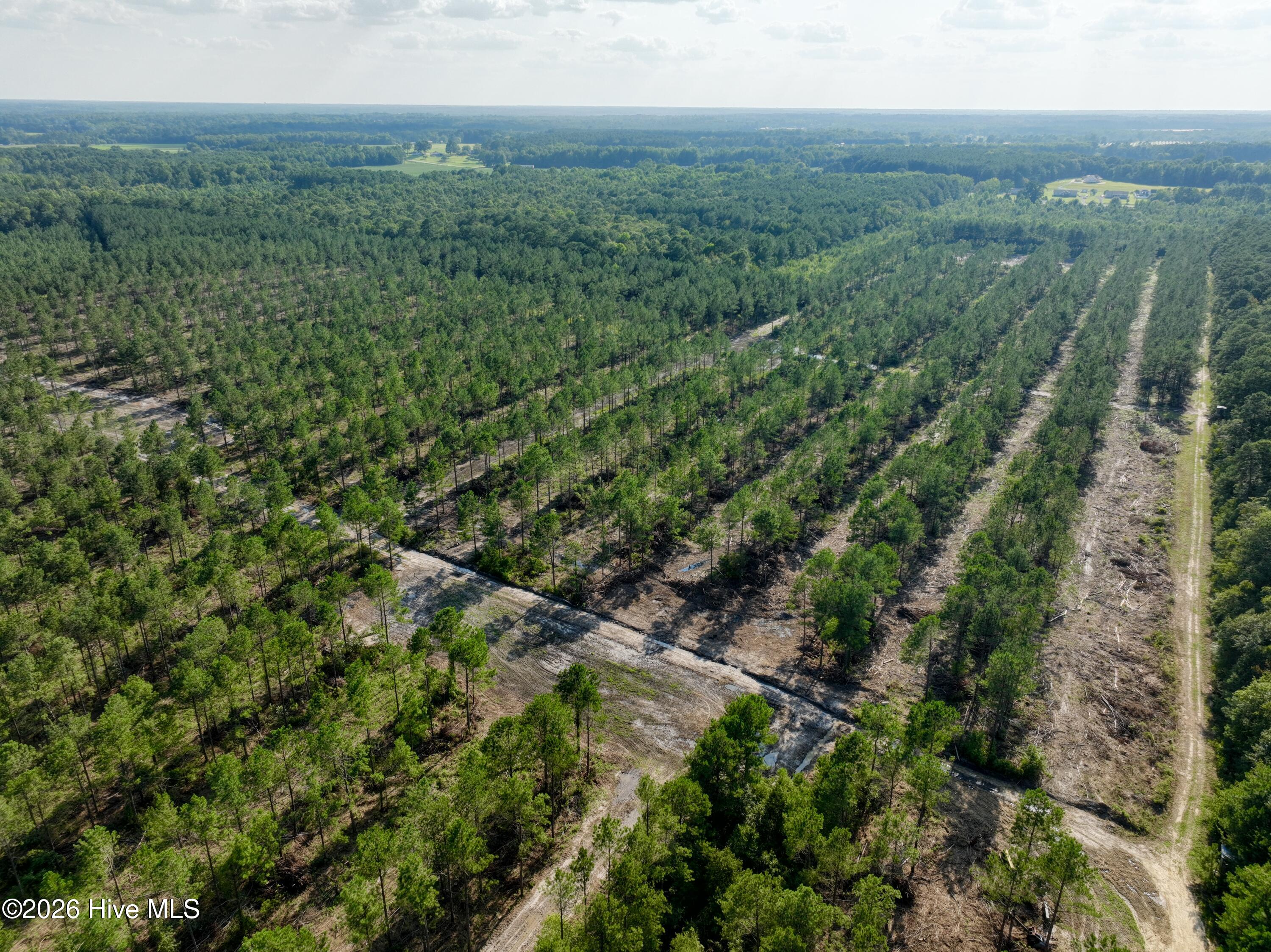 2310 Devils Racetrack Road Property Photo 42