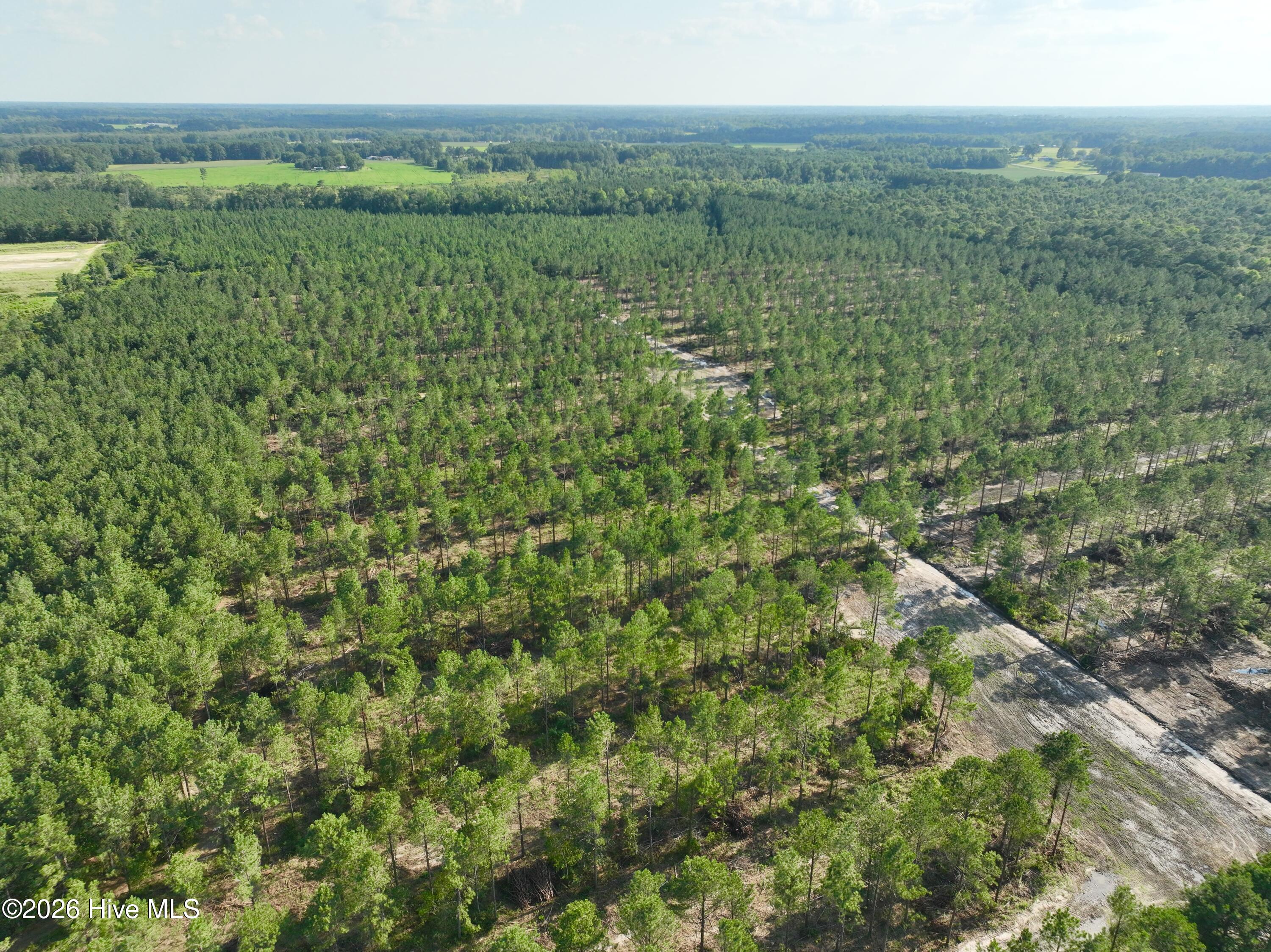 2310 Devils Racetrack Road Property Photo 43