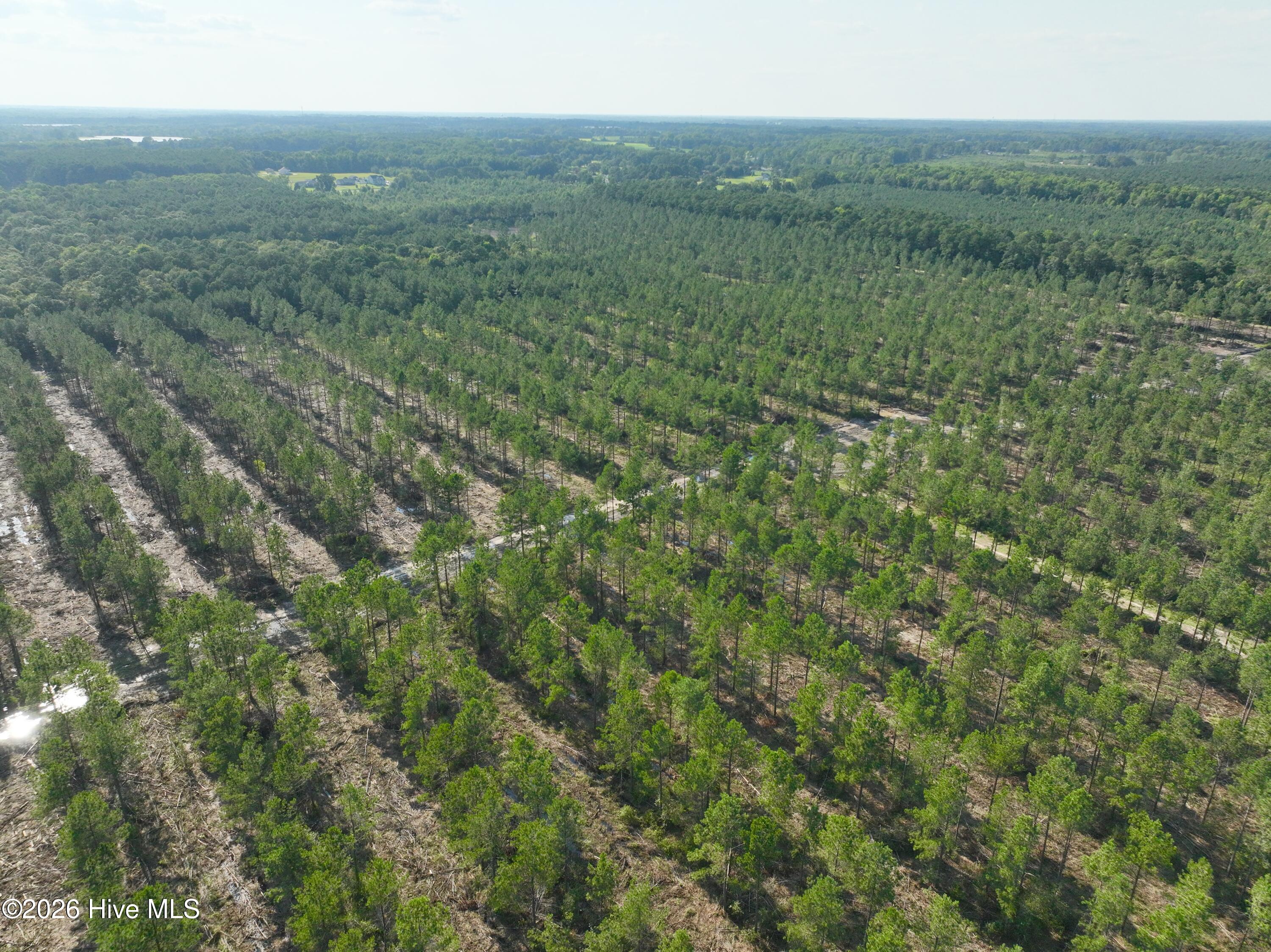 2310 Devils Racetrack Road Property Photo 44