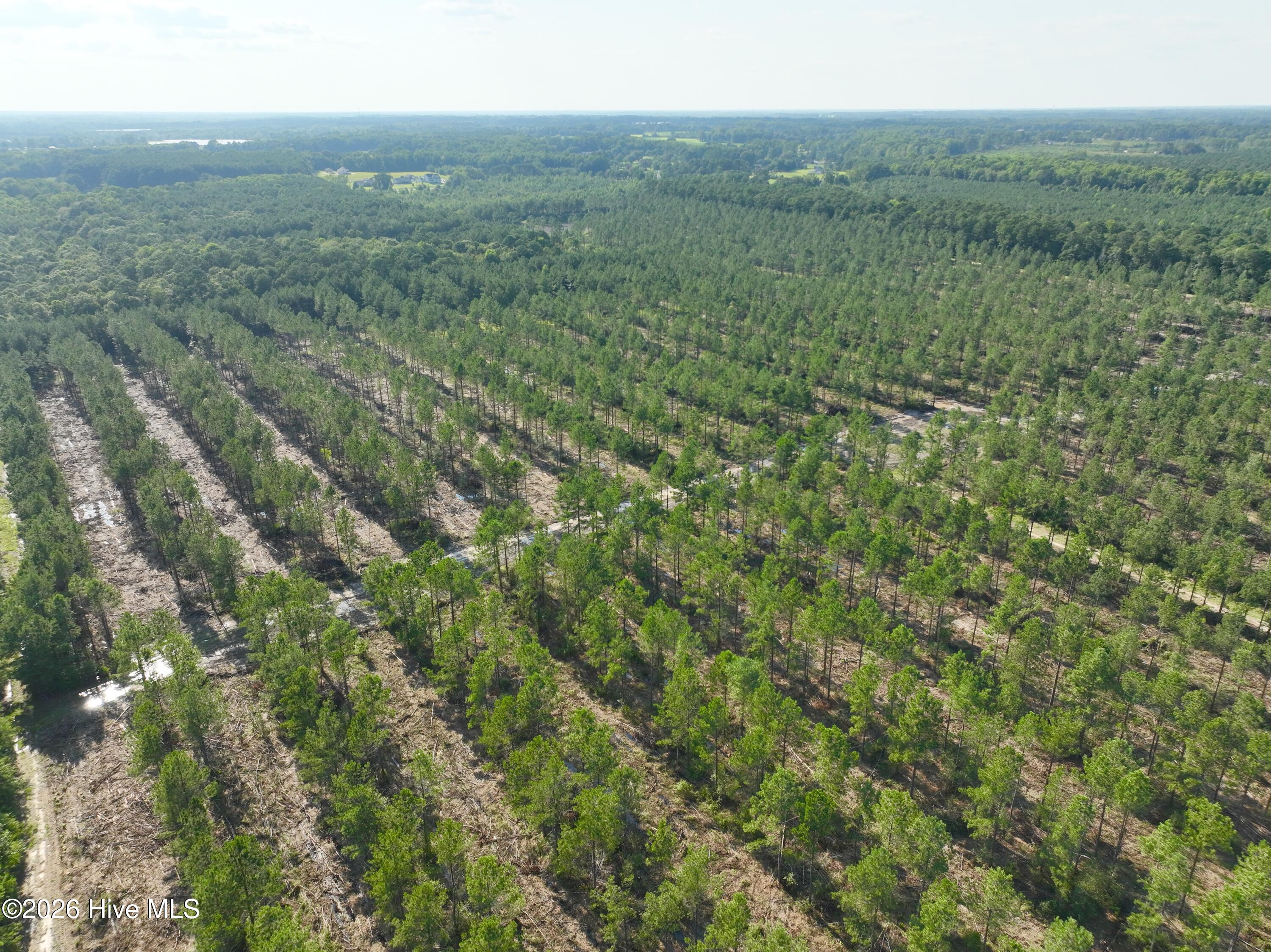 2310 Devils Racetrack Road Property Photo 45