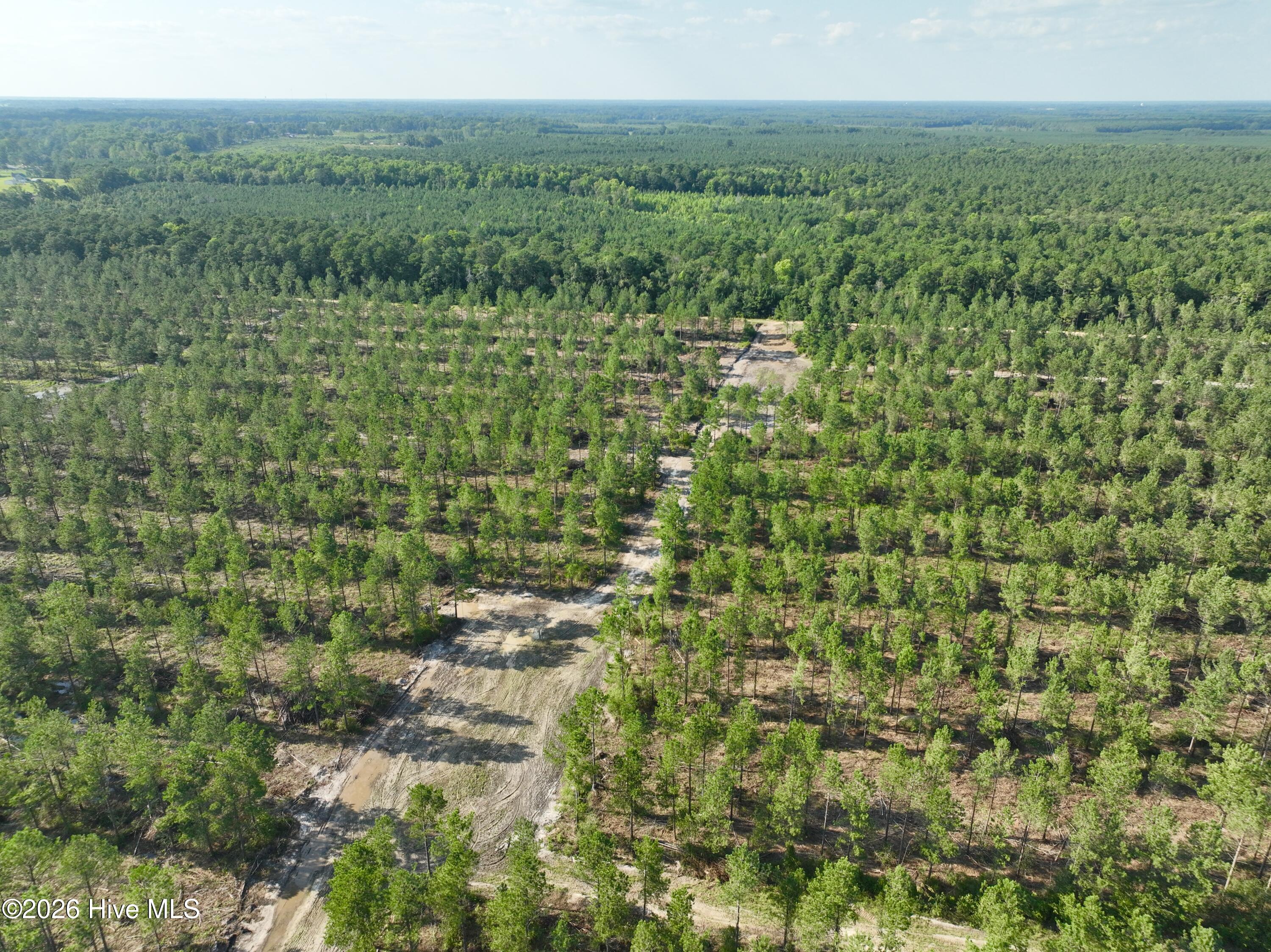 2310 Devils Racetrack Road Property Photo 46