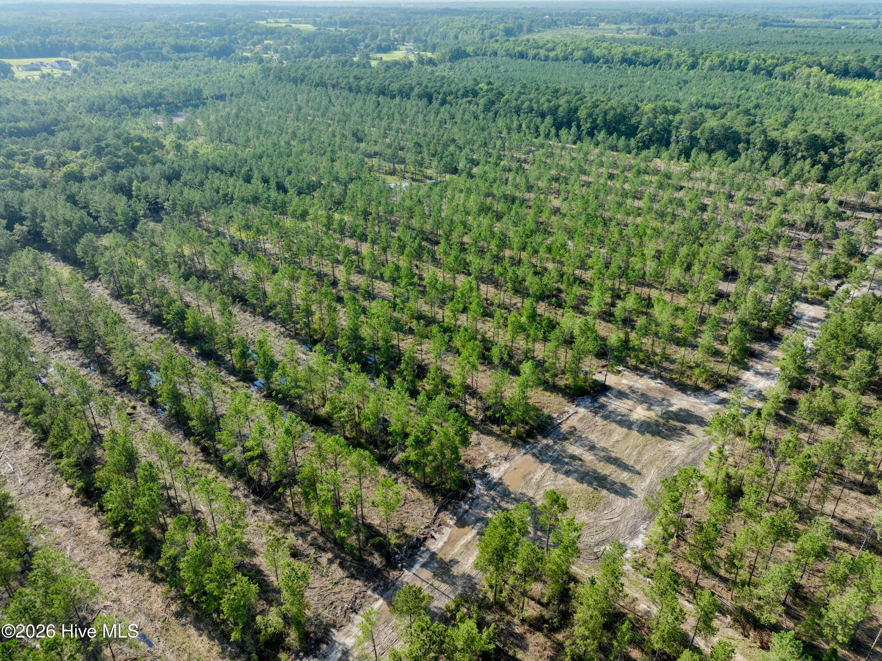 2310 Devils Racetrack Road Property Photo 47