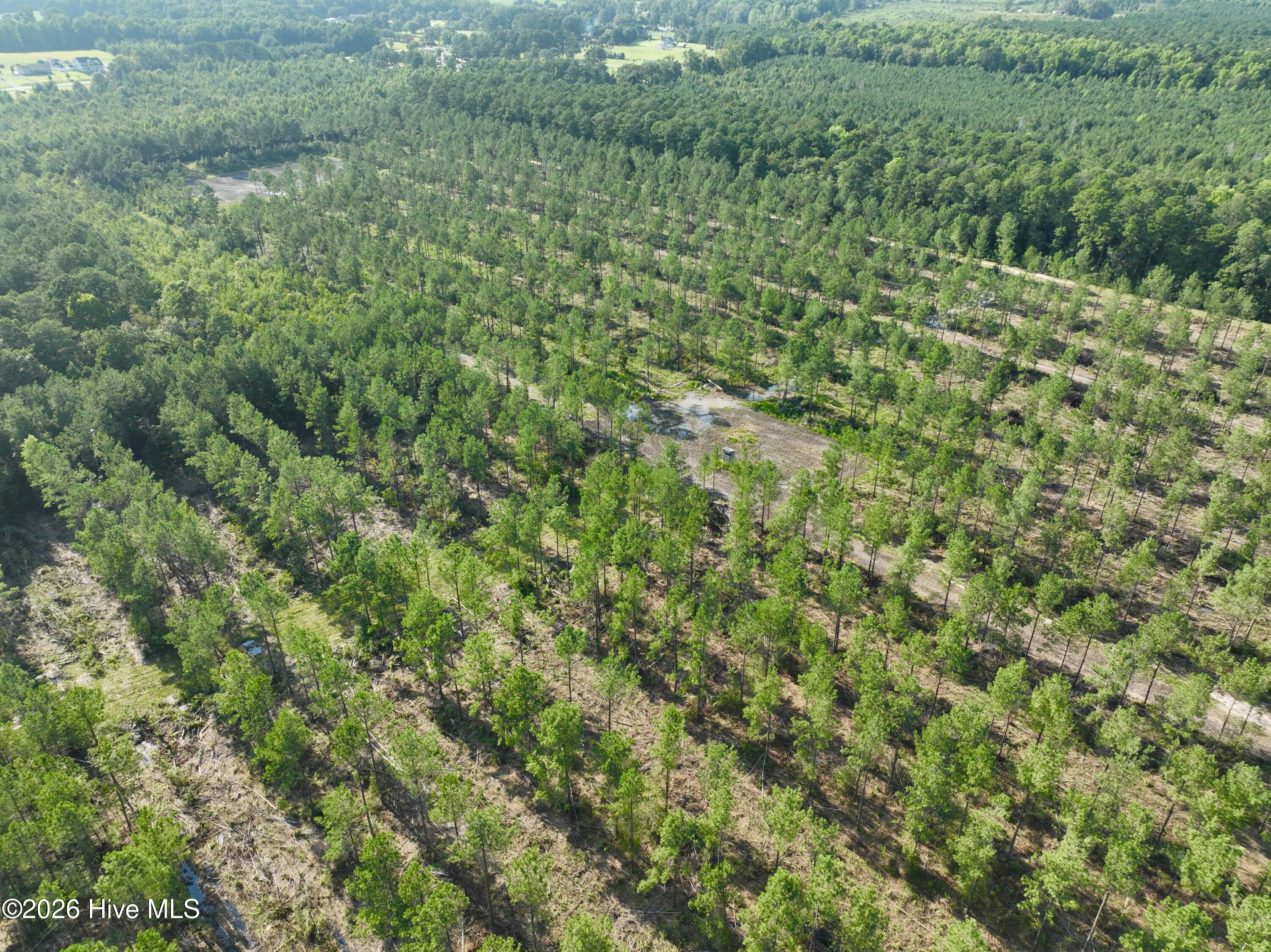 2310 Devils Racetrack Road Property Photo 48