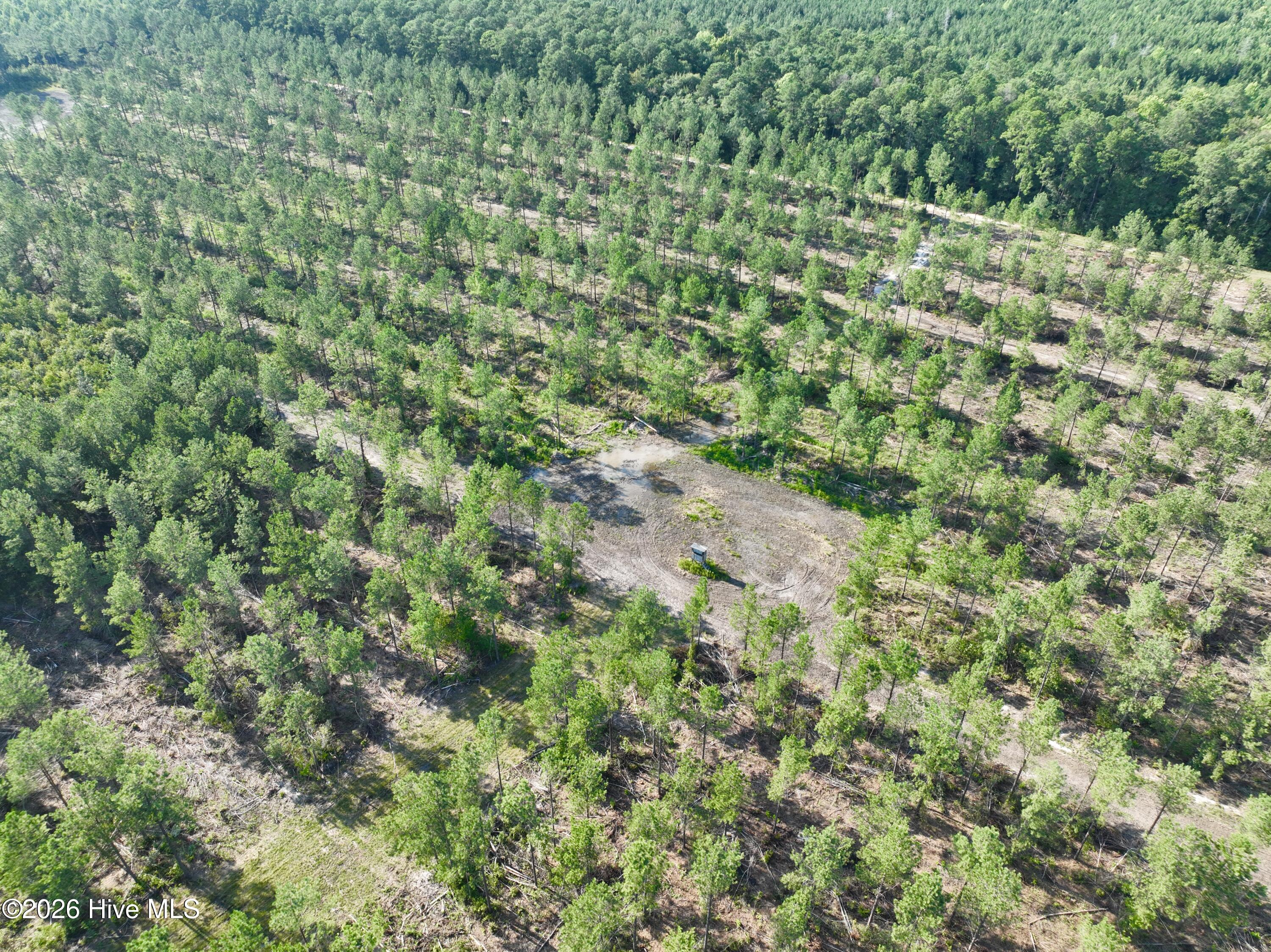2310 Devils Racetrack Road Property Photo 49