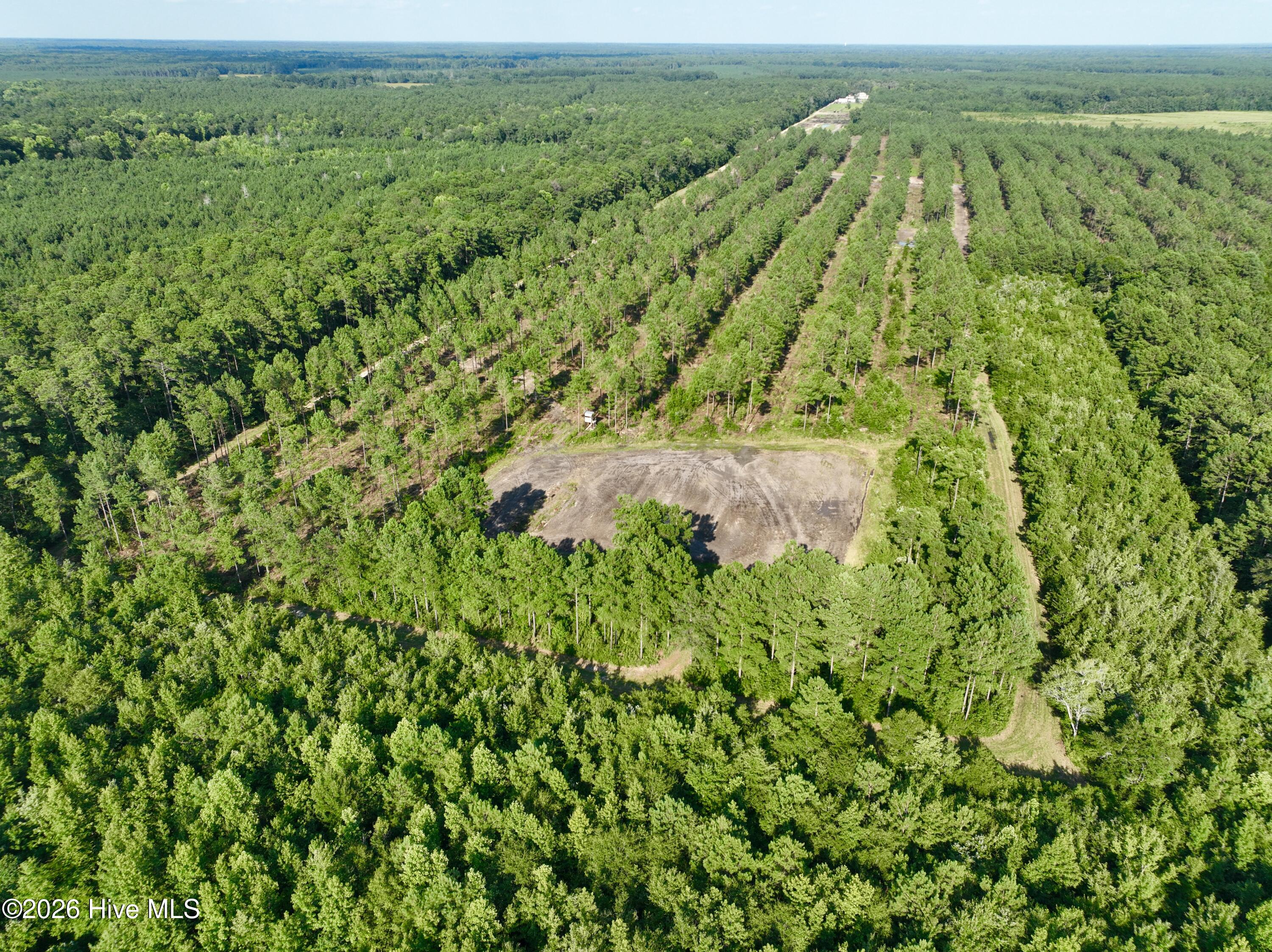 2310 Devils Racetrack Road Property Photo 53