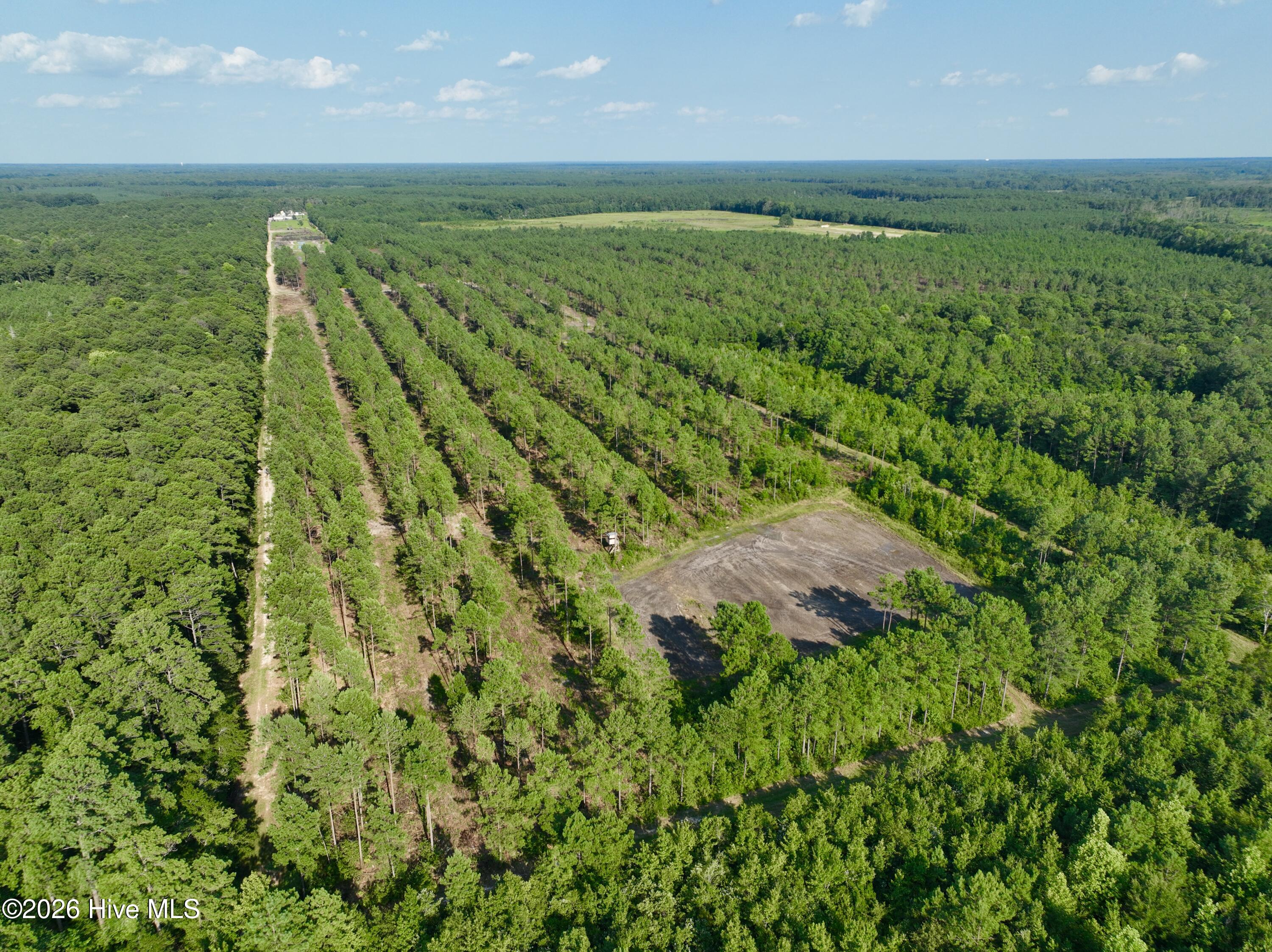 2310 Devils Racetrack Road Property Photo 54