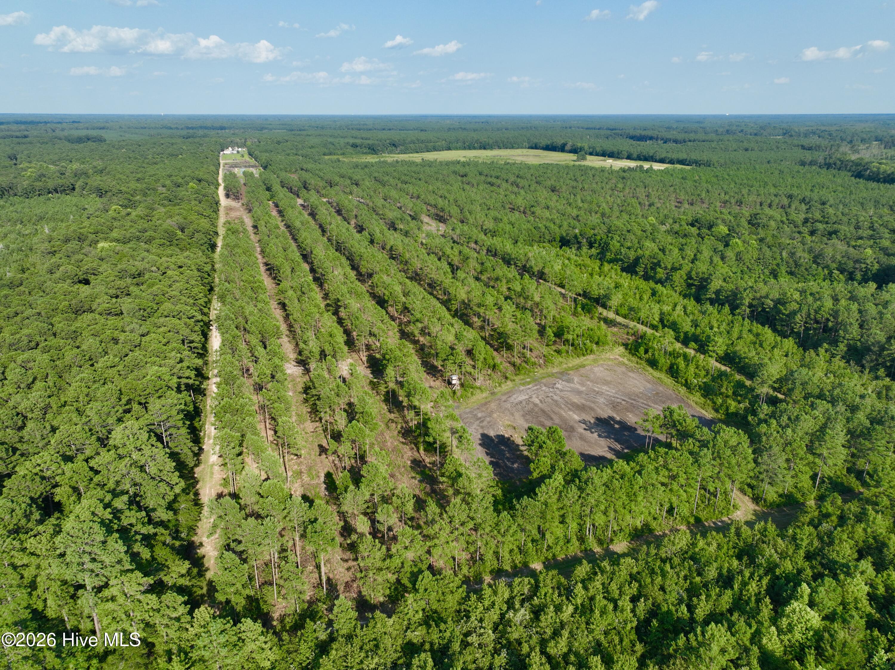 2310 Devils Racetrack Road Property Photo 55