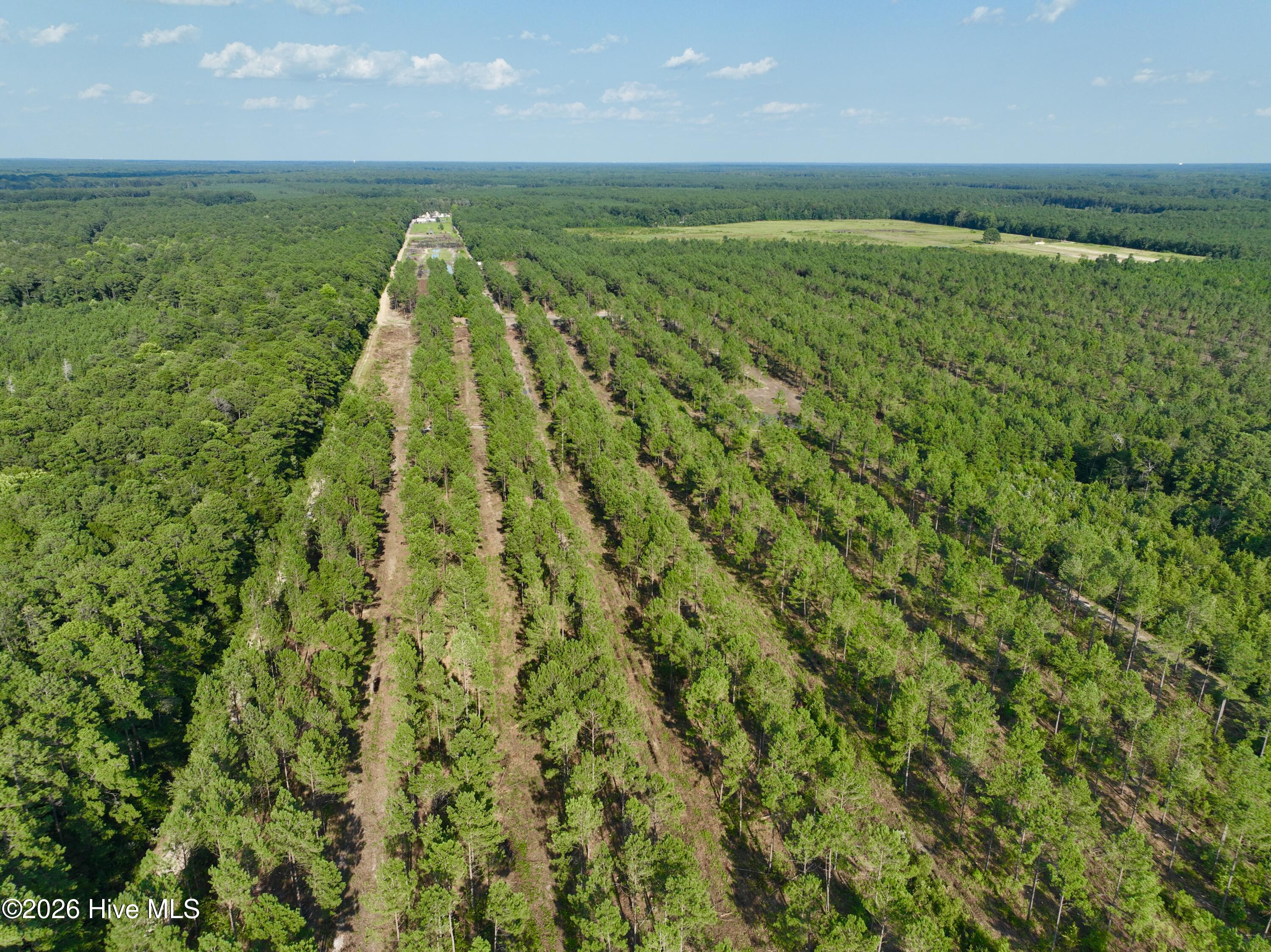 2310 Devils Racetrack Road Property Photo 56