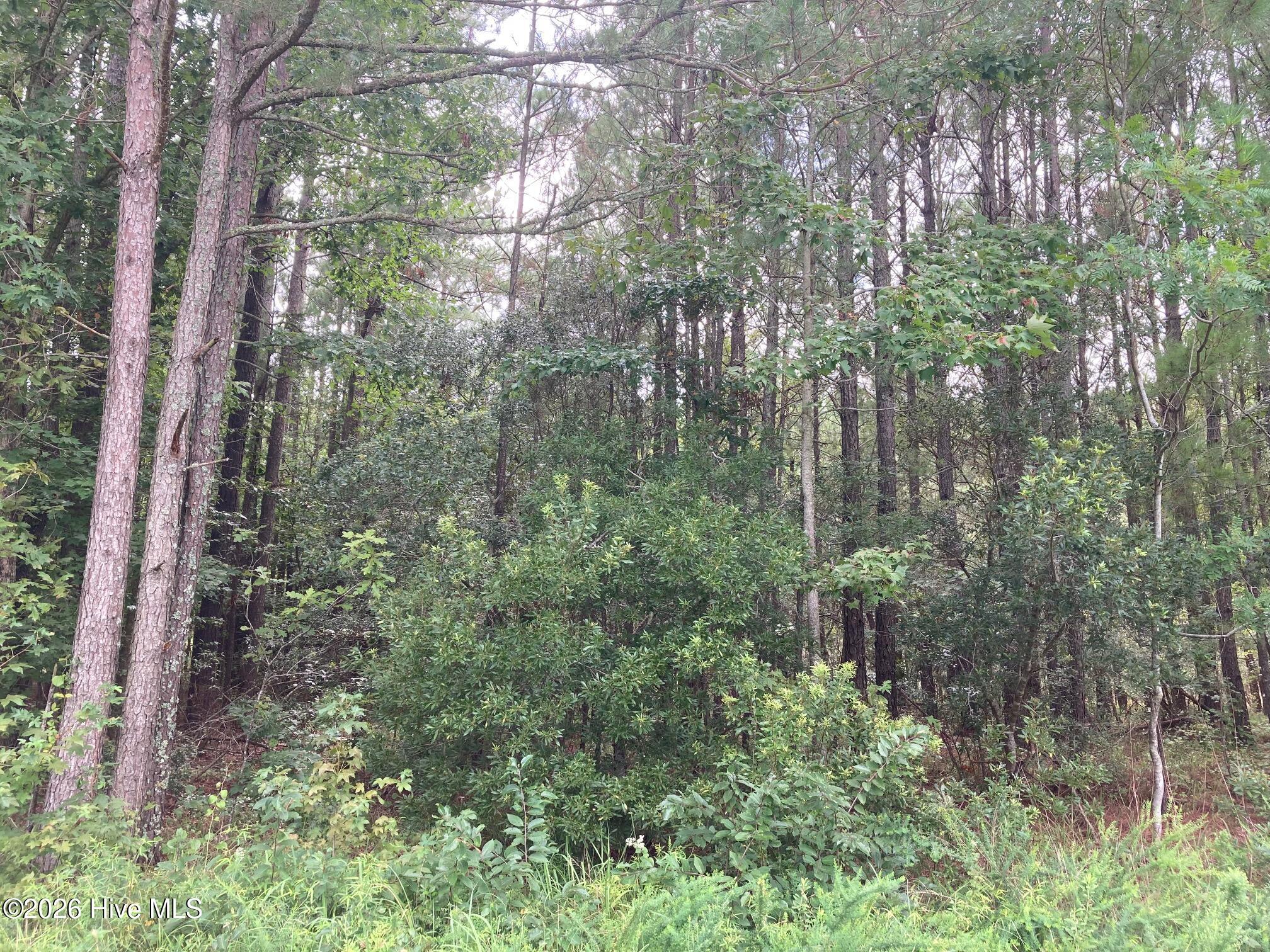 Lot # 33 33 33 Pine Crest Road