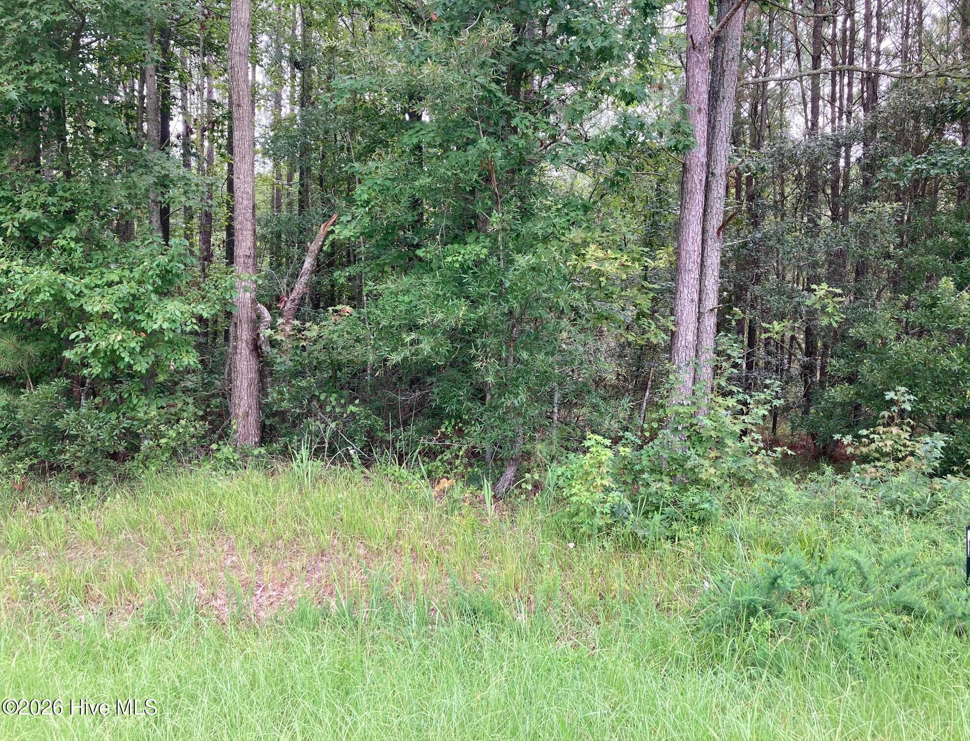 Lot # 33 33 33 Pine Crest Road Property Photo 2